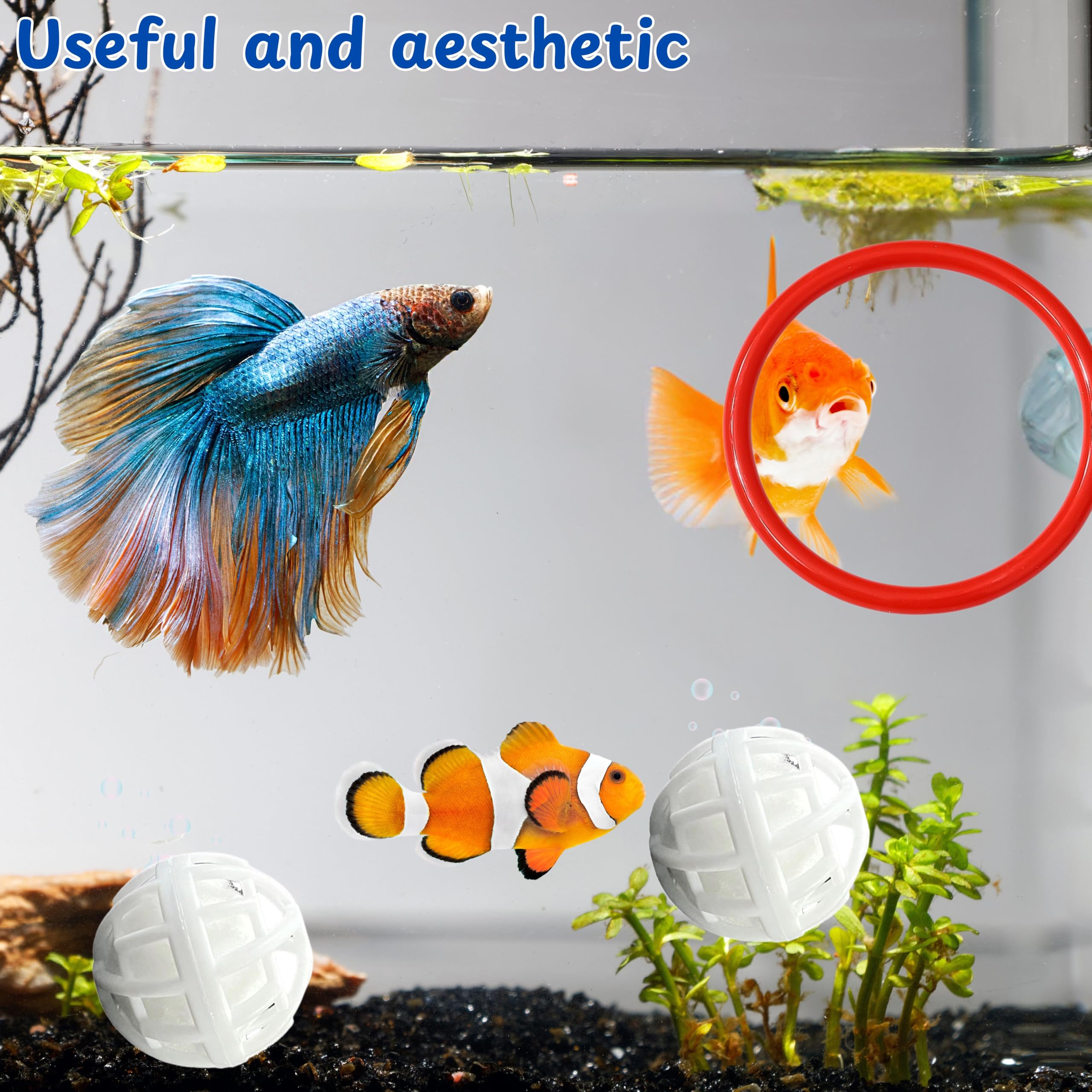 Betta Fish Exercise Ring And Filter Balls Set, Betta Ring And Turtle Water Cleaner Ball, Fish Feeder Rings With Nitrifying Balls