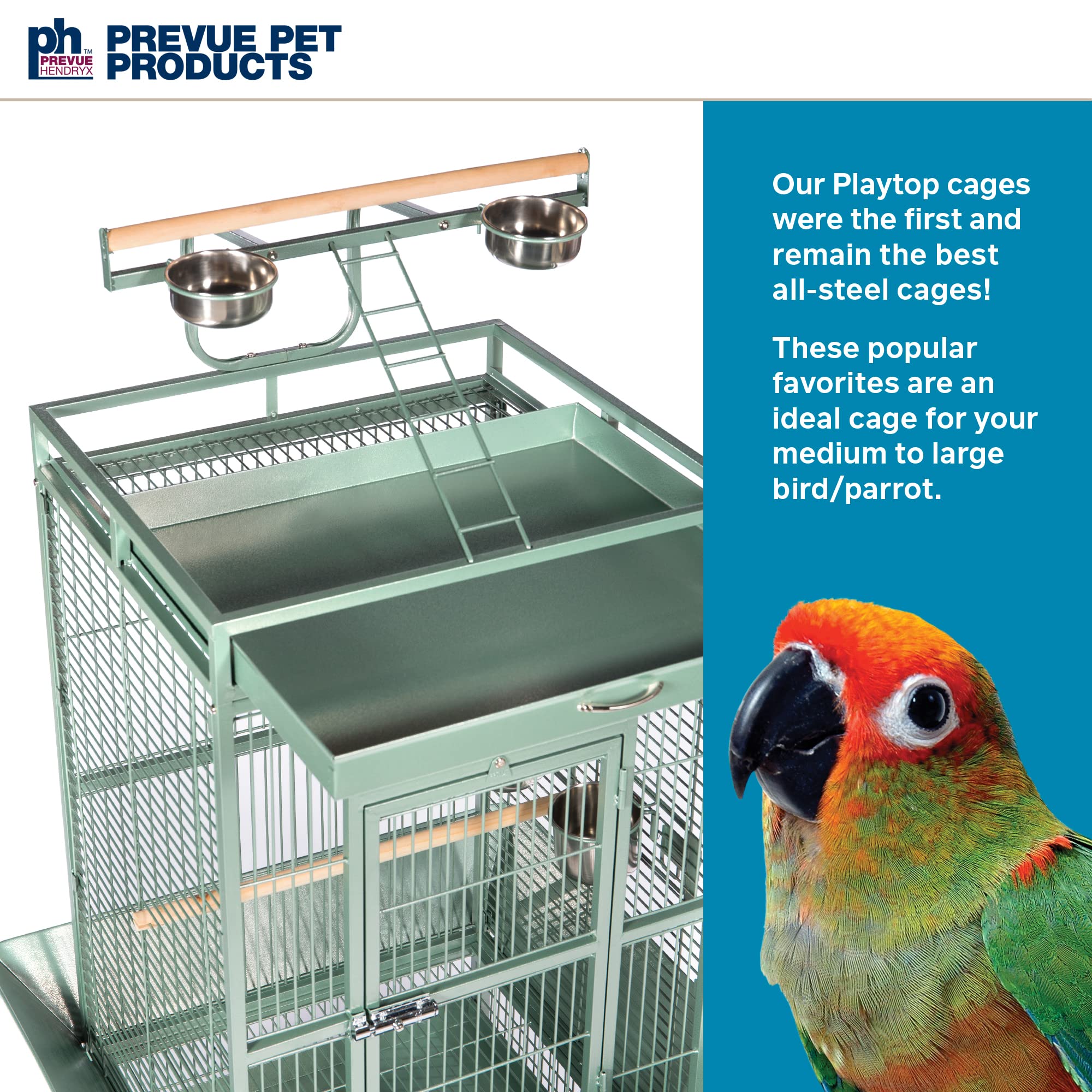 Prevue Pet Products Wrought Iron Select Bird Cage 3152Sage Sage Green, 24-Inch By 20-Inch By 60-Inch