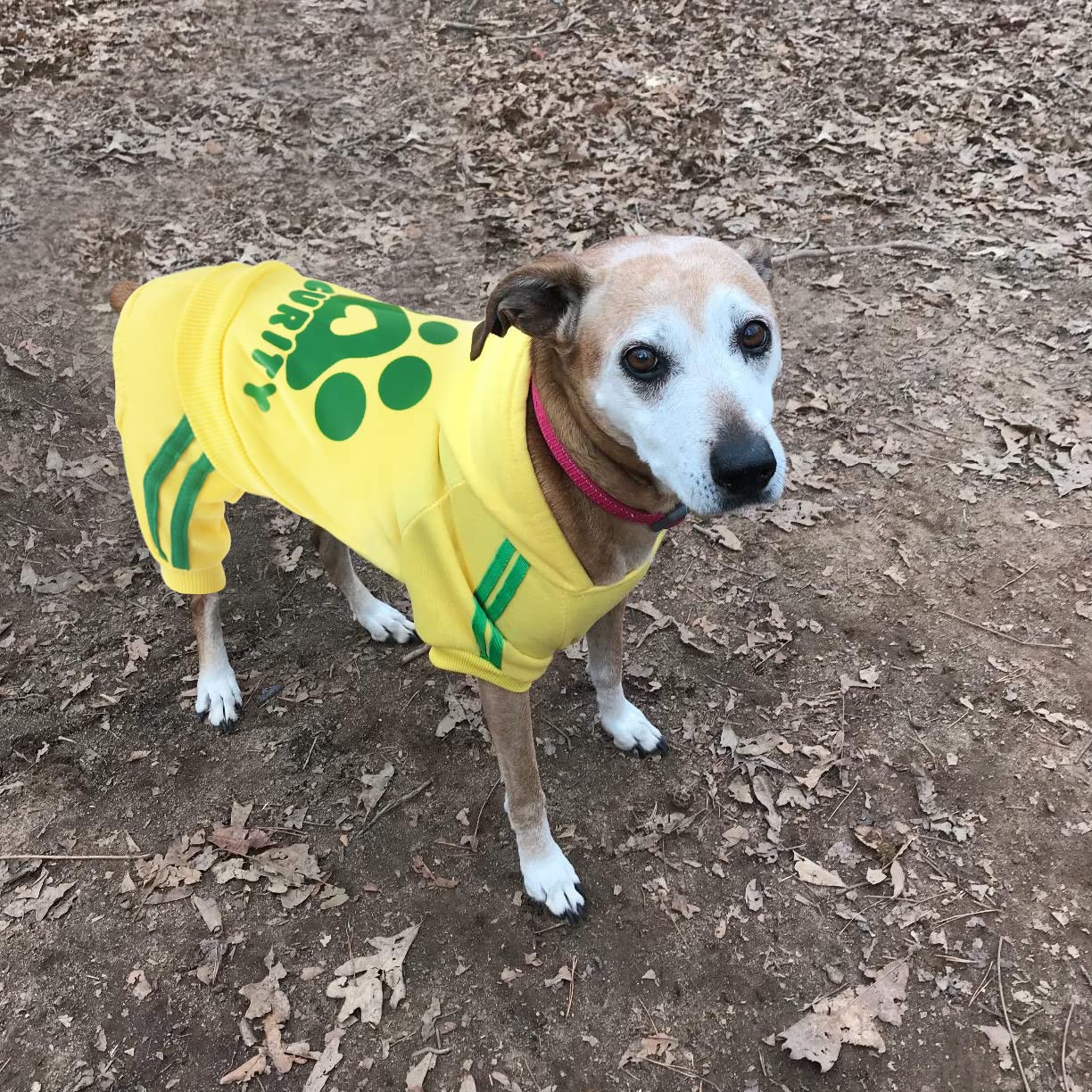 Oturnue'S Soft & Warm Dog Outfit: Security Dog Jumpsuit Sweatshirt Hoodie For Small To Large Dogs & Cats (Yellow, Xx-Small & Lar