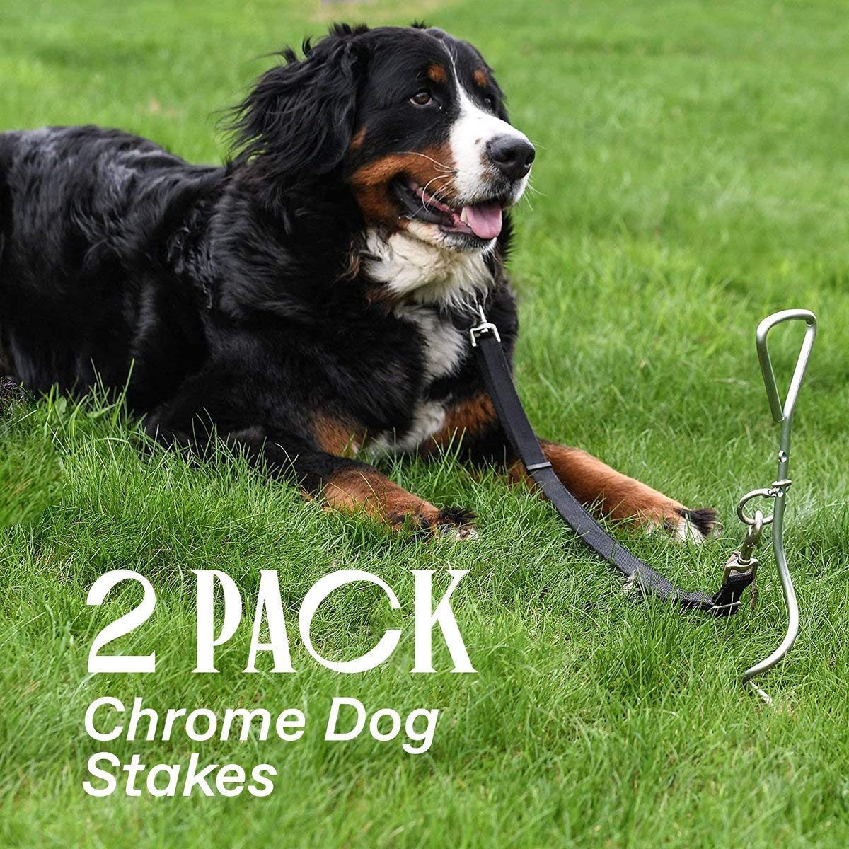 Katzco 2 Dog Tie-Out Stake - Heavy Duty 16 '' Dog Stakes For Outside, Yard And Camping, Corkscrew Arrowhead Design With Tangle-F