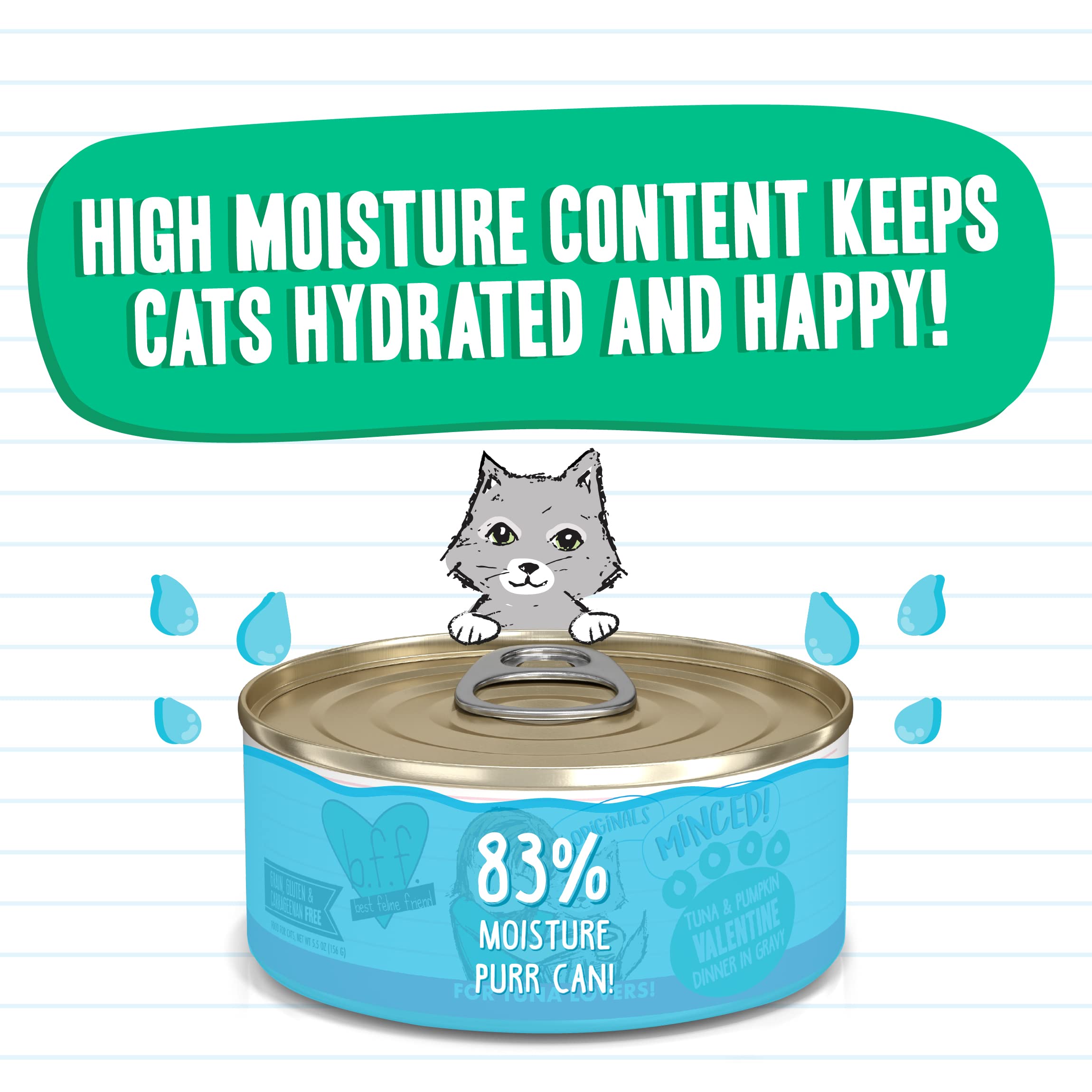 Weruva Best Feline Friend (B.F.F.) Tuna & Pumpkin Valentine with Tuna & Pumpkin in Gravy Cat Food, 5.5oz Can (Pack of 24), Green