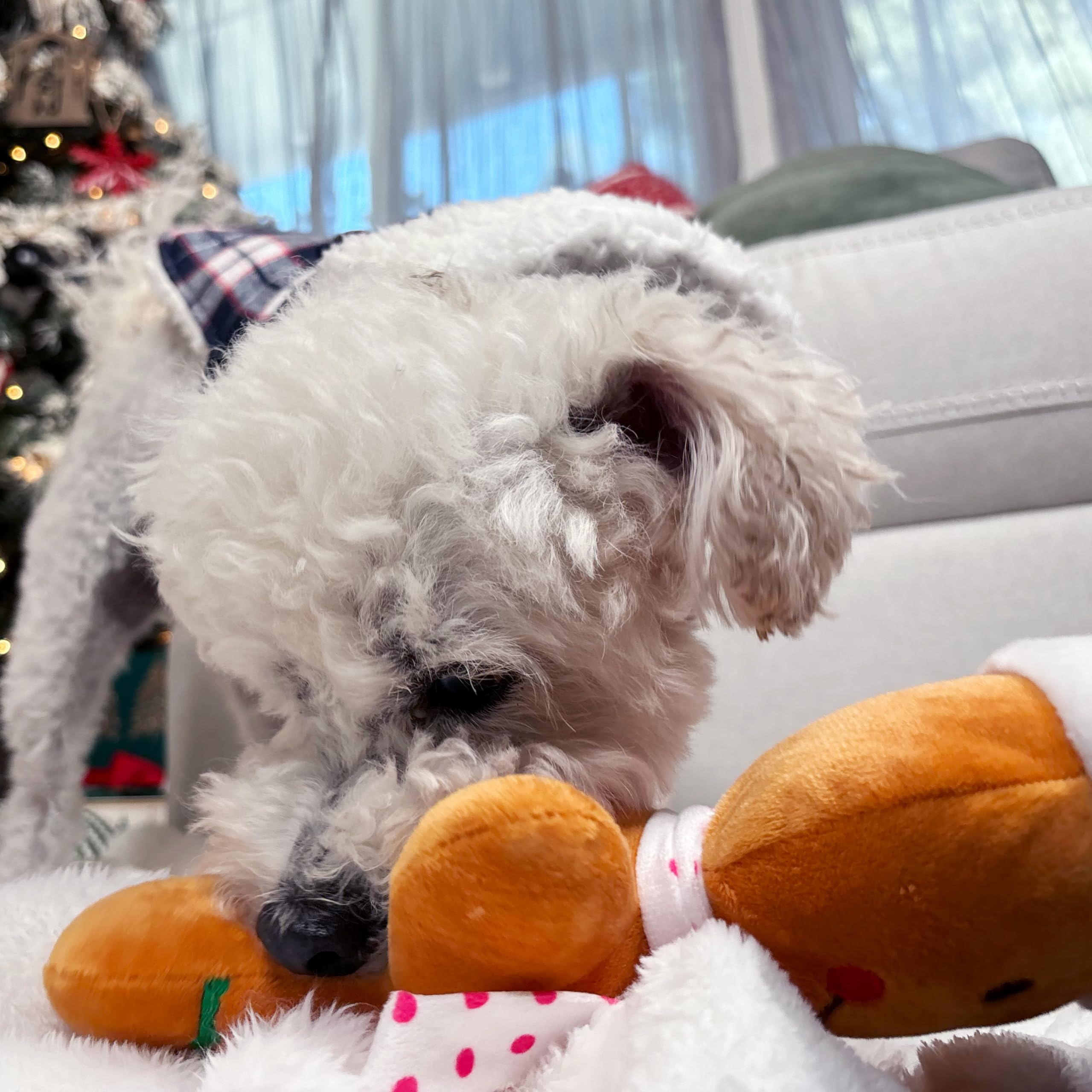Holiday Plush Pet Toy Fun For Christmas Designs With Squeaker Dog Chew Toy (9'' Gingerbread 2 Pcs)