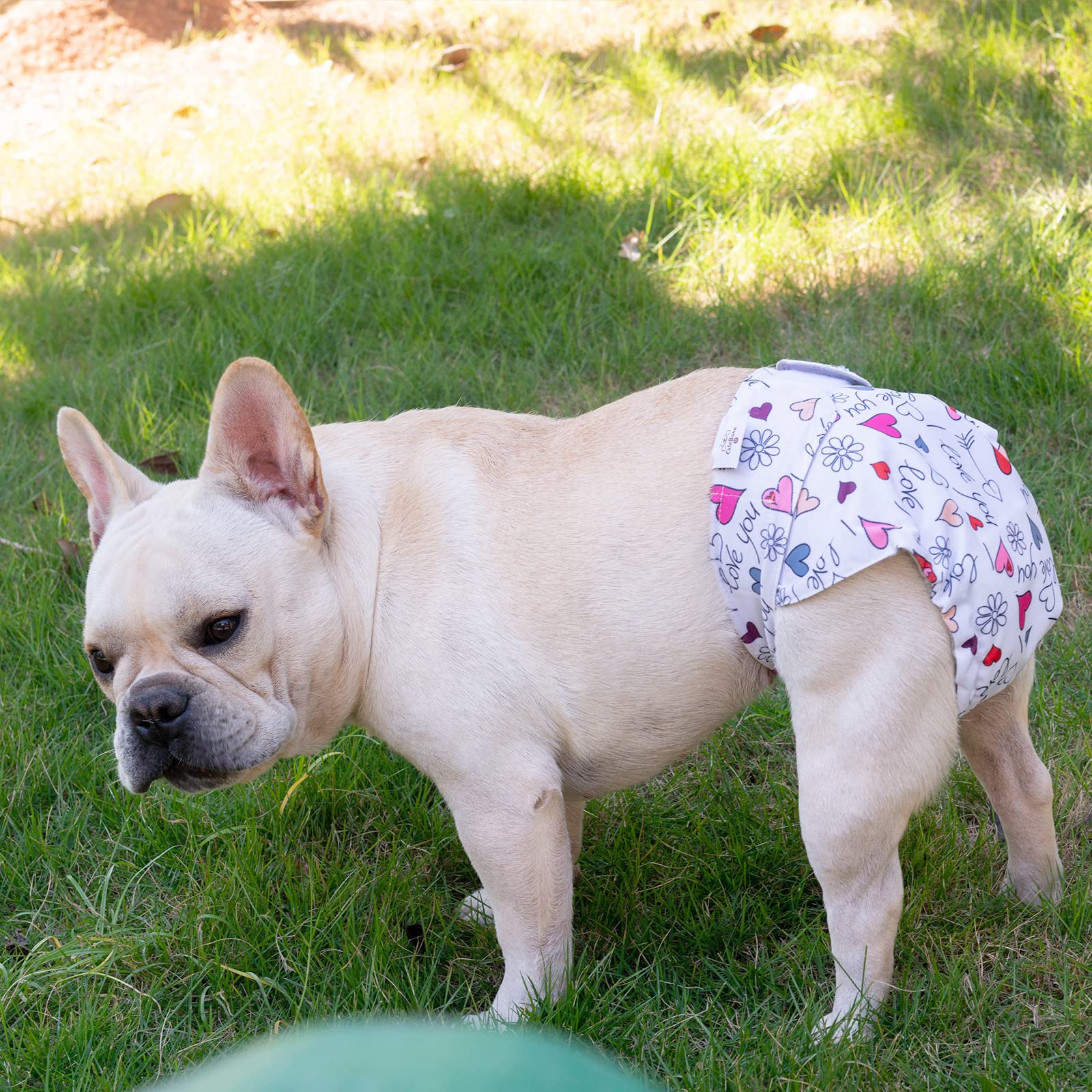 Cutebone Reusable Dog Diapers No Tail Hole 3 Pack Puppy Training Pants For Docked-Tail Dogs Wwd03L