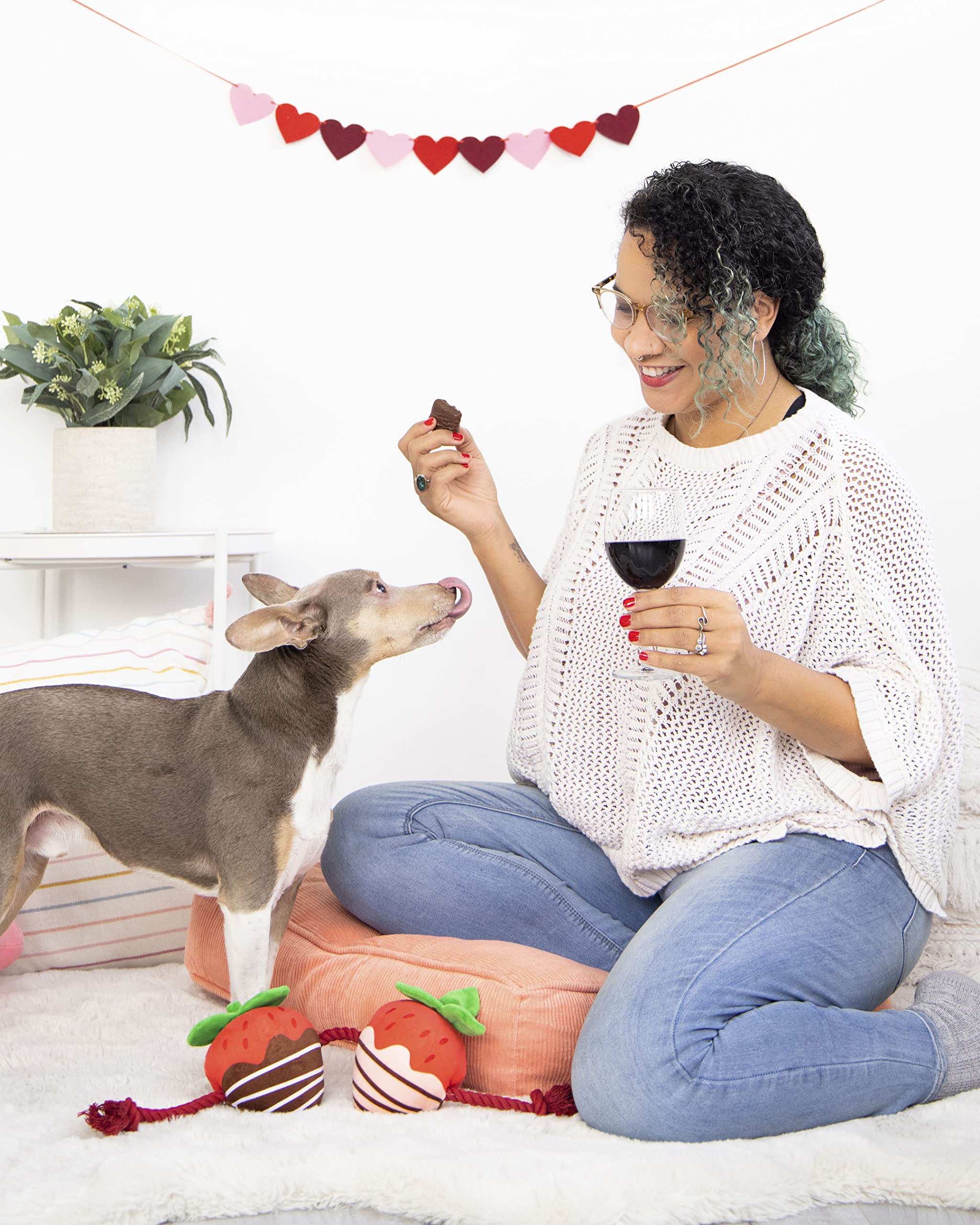 Pearhead Valentine's Day Dog Toy - You're Berry Cute Festive Squeaker & Rope Chew Toy for Interactive Play - Multicolored