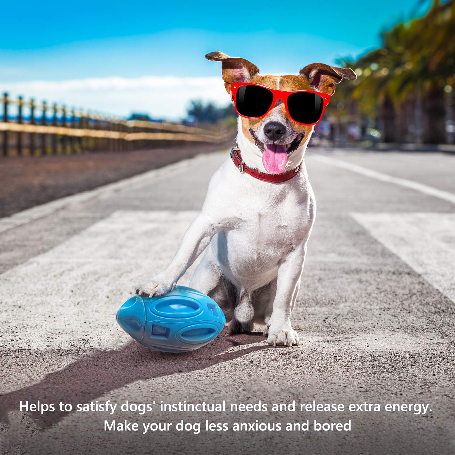 EASTBLUE Squeaky Dog Chew Ball - Indestructible Rubber Toy for Medium/Large Breeds - Blue