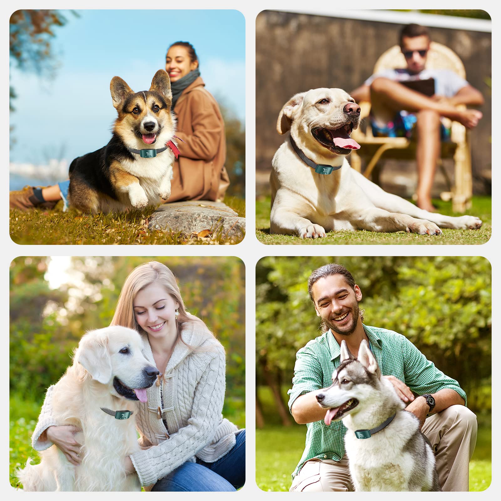 NBJU Bark Collar for Dogs - Rechargeable Anti-Barking Training Collar with 7 Adjustable Sensitivities, Beep & Vibration, Blackish Green