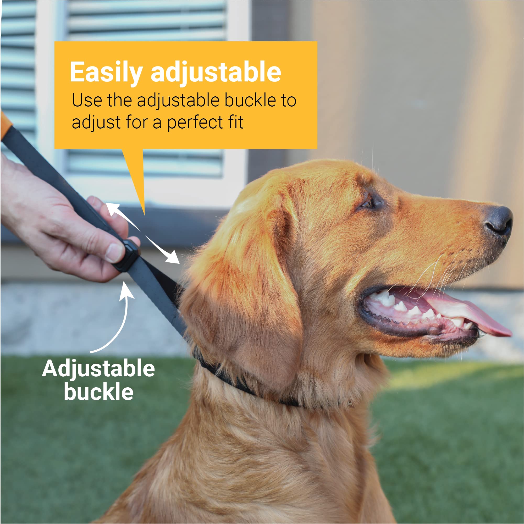 Svd.Pet Dog Prong Collar For No-Pull Training, Quick-Release Buckle Adjustable Pinch Collar For Small Dogs (Black, Small Size)