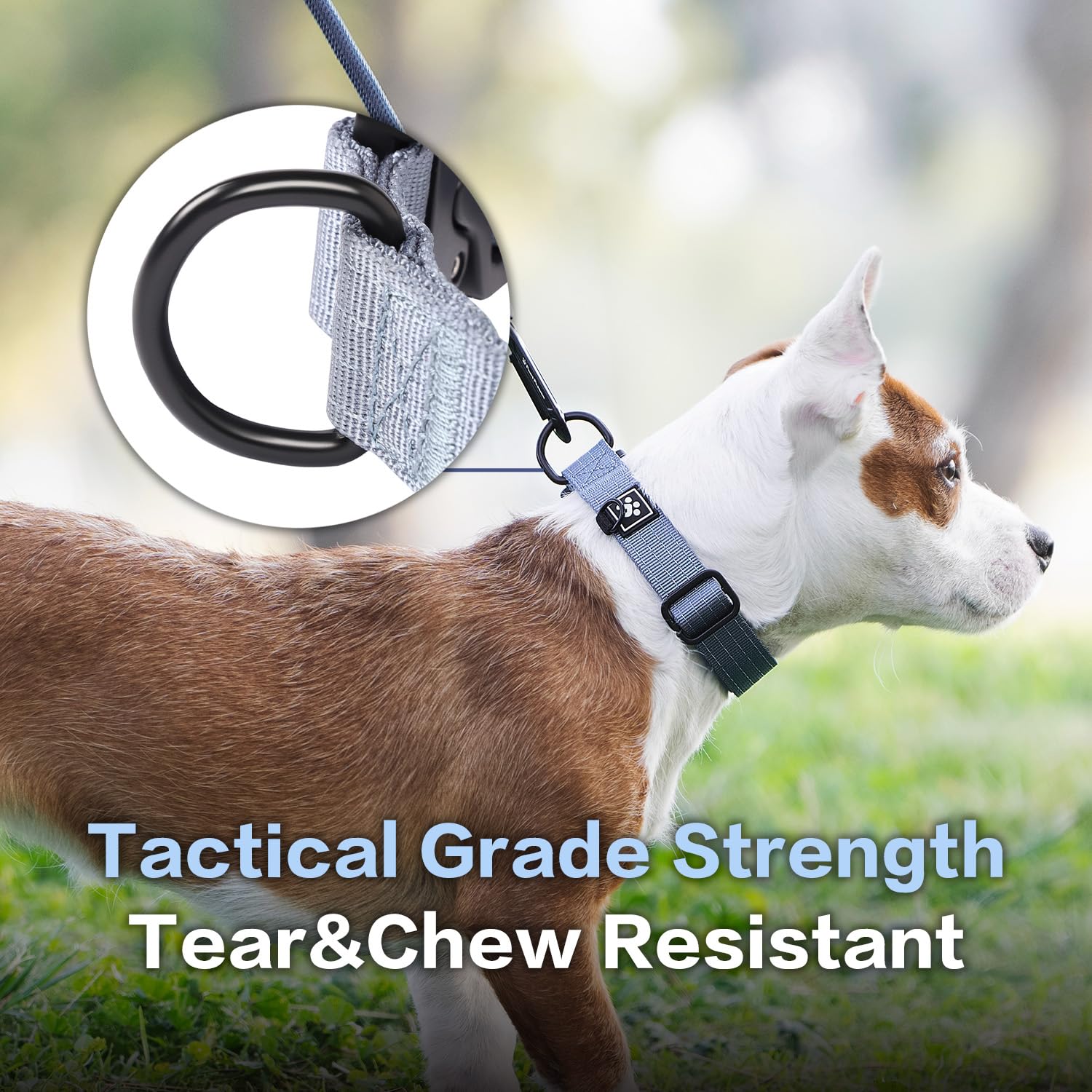 Pawspassion Heavy Duty Dog Collar For Large Dogs, Chew Proof Metal Hardware, Reinforced Nylon Dog Collar With Metal Quick-Releas