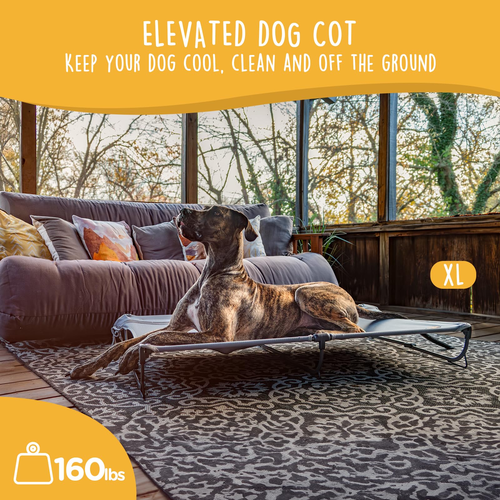 Canine Canyon Daisy Cot, Xl Foldable Elevated Dog Bed, Portable Raised Outdoor Folding Dog Cots, Cooling, Chew Proof, Waterproof