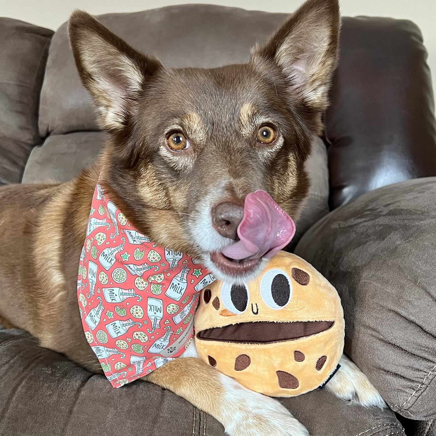 CHEWFFON Dog Toys, Puppy Birthday Toy, Dog Puzzle Toys, Interactive Dogs Toys, Puppy Plush Chew, Dogs Treat Dispensing Toys, Pet