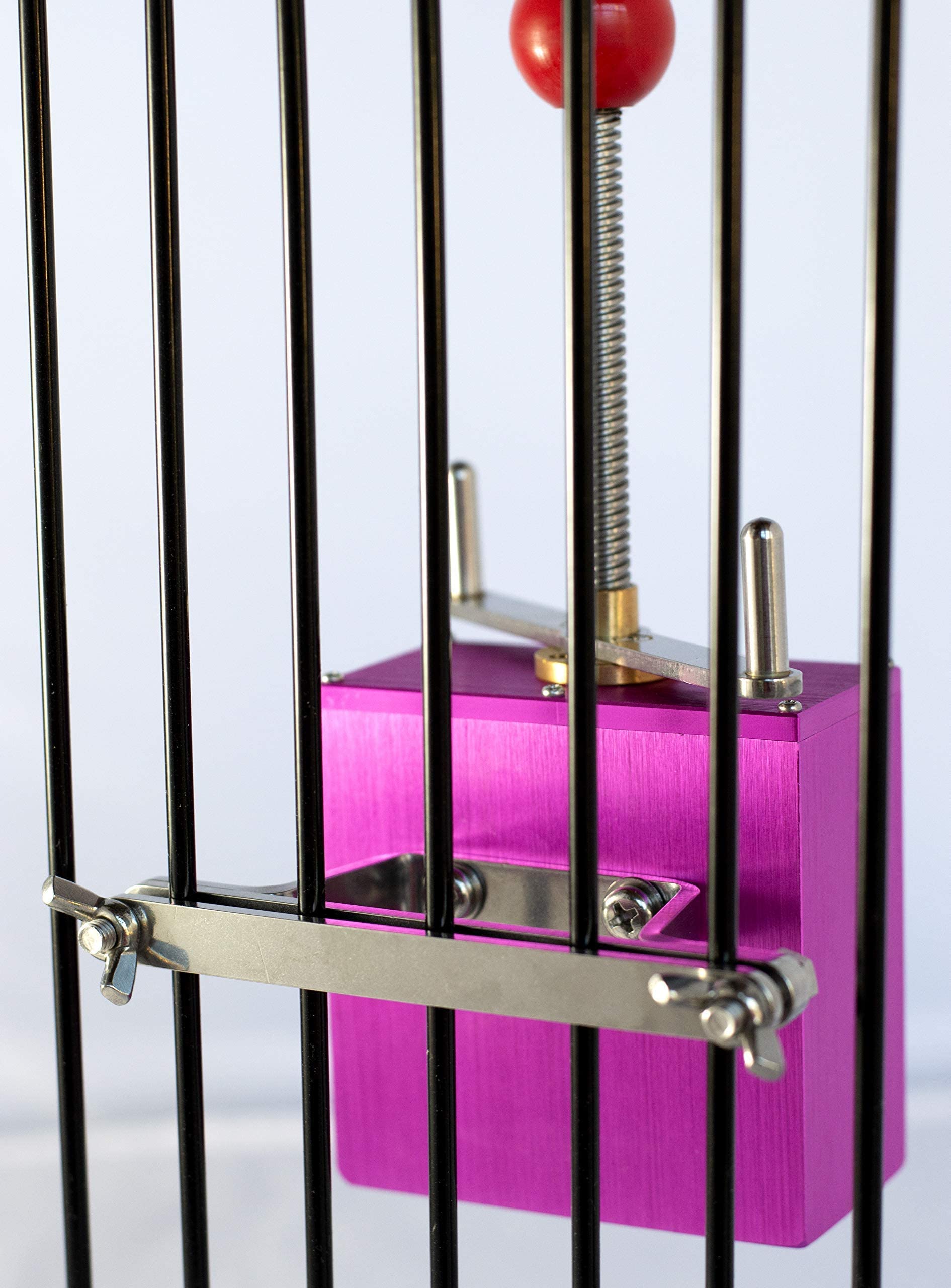 Ele-Waiter Foraging Bird Toy | Interactive Treat Dispenser | Promotes Natural Foraging Behavior | Bird Cage Accessories For Medi