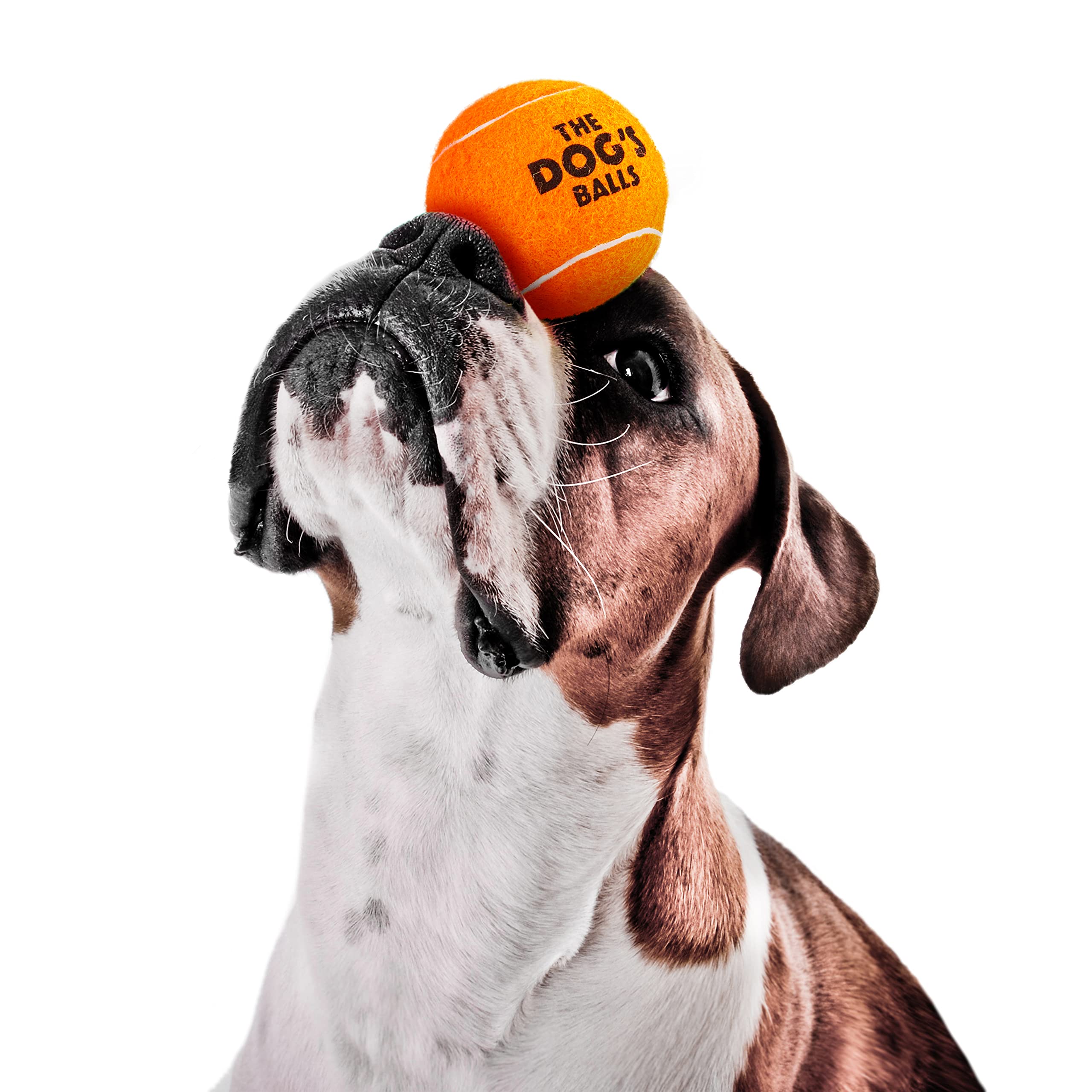 The Dog'S Balls, Dog Tennis Balls, 12-Pack Orange Dog Toy, Strong Dog & Puppy Ball For Training, Play, Exercise & Fetch