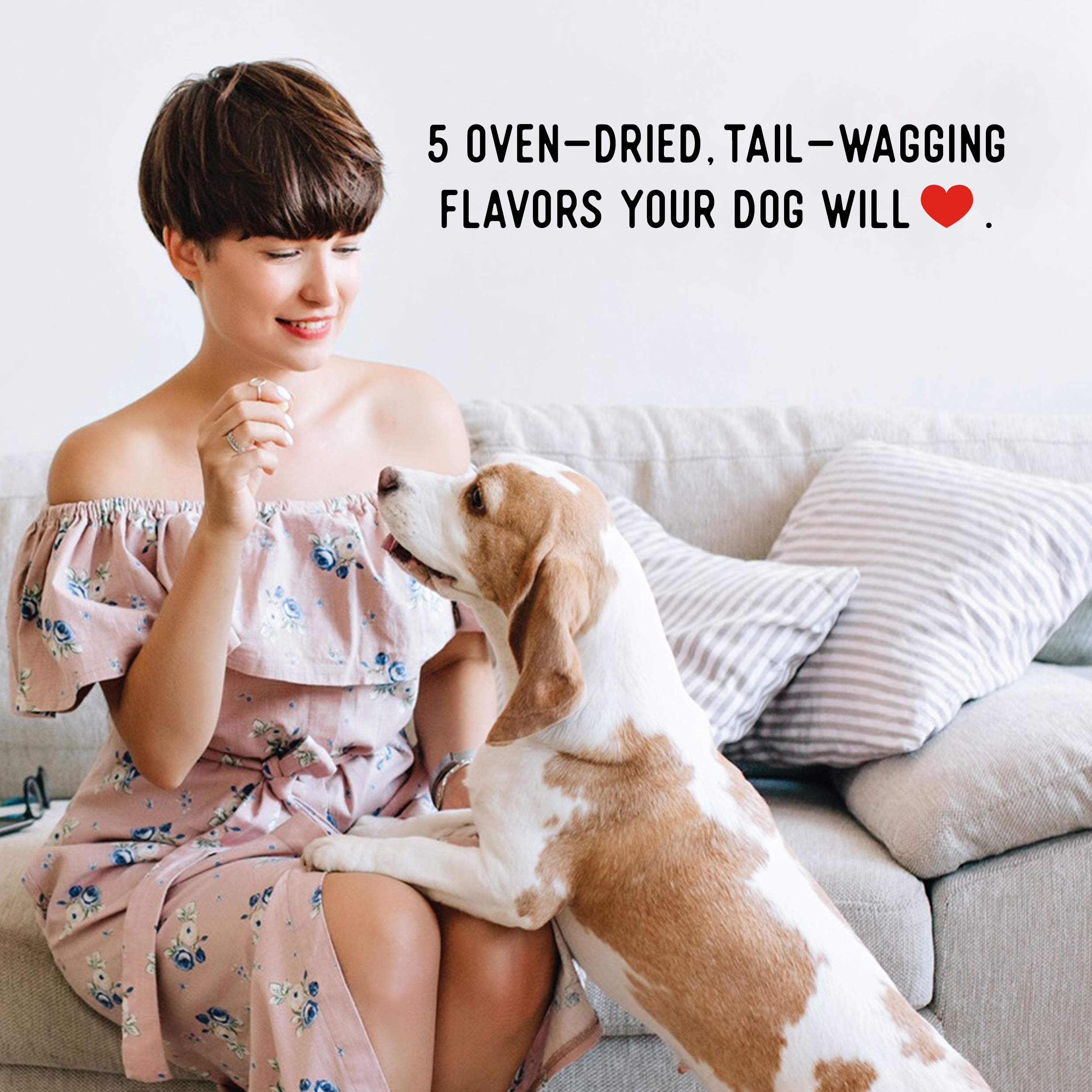 Farmland Traditions Dogs Love Chicken Premium Two Ingredients Jerky Treats for Dogs (1 lb. No Antibiotics Ever USA Raised Chicke