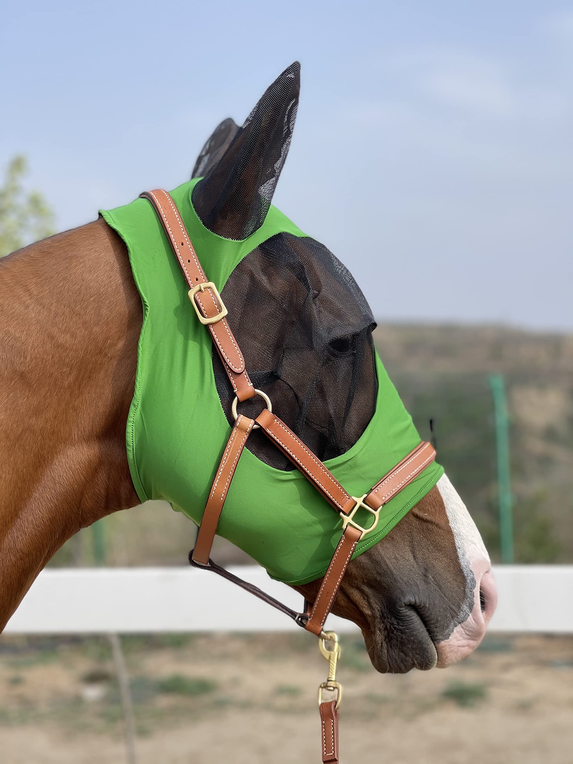 Horse Fly Mask Super Comfort Horse Fly Mask Elasticity Fly Mask with Ears We Only Make Products That Horses Like (Hunter Green,