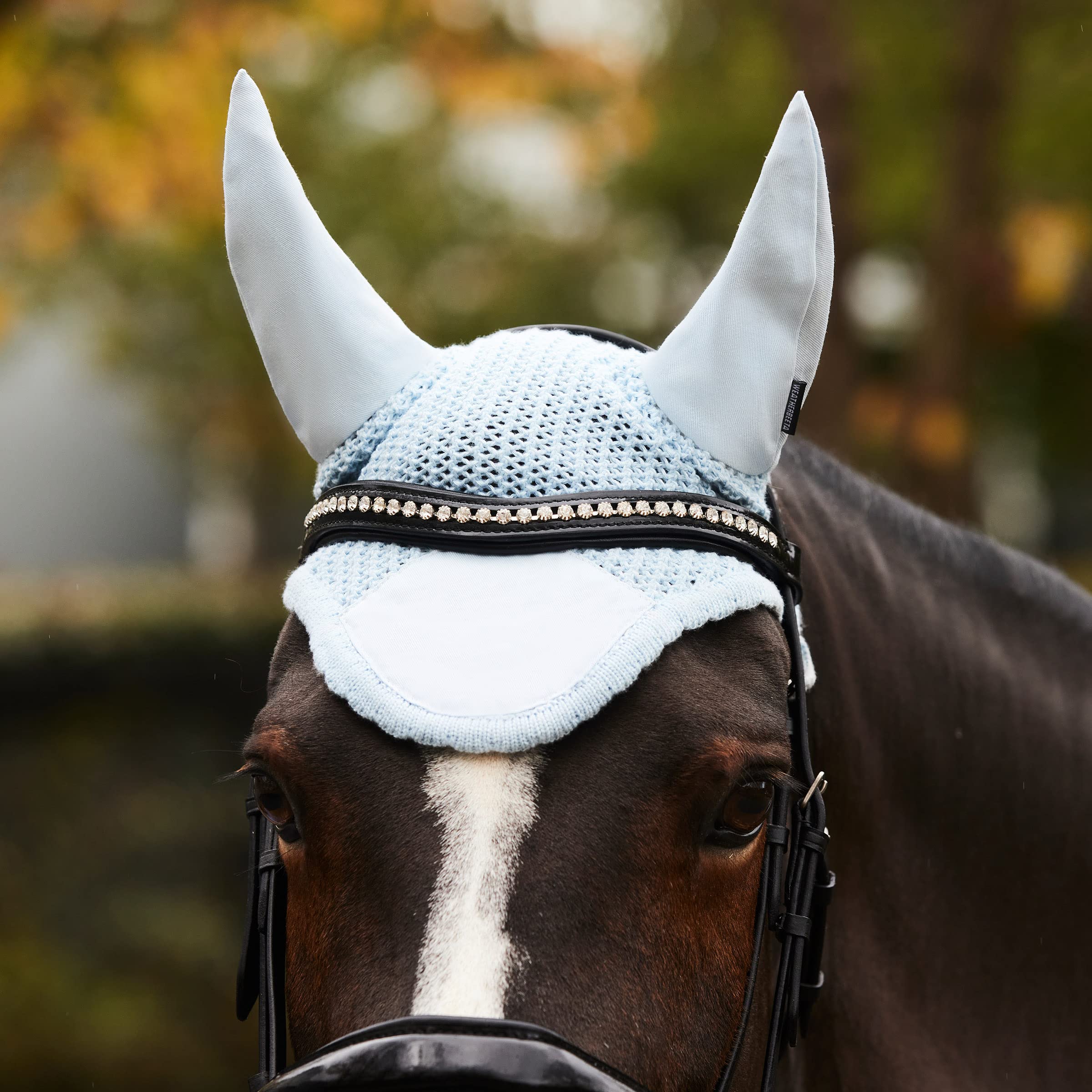 WeatherBeeta Prime Ear Bonnet, Navy, Full