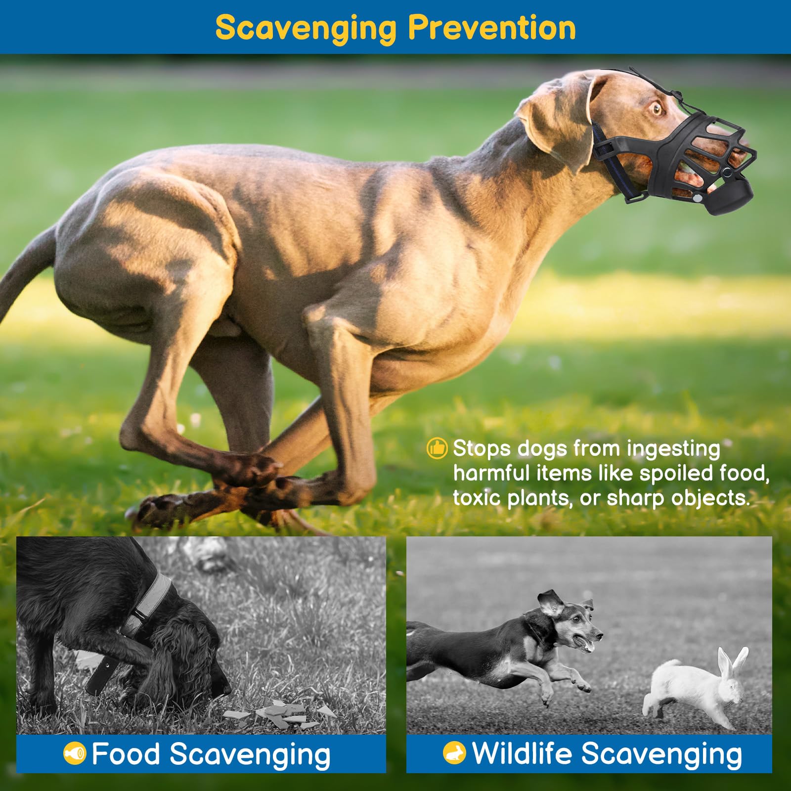 BARKLESS Basket Muzzle for Large Dogs, Humane Muzzle to Prevent Biting and Scavenging, Snap-on Treat Cover Helps Dogs Acclimatiz