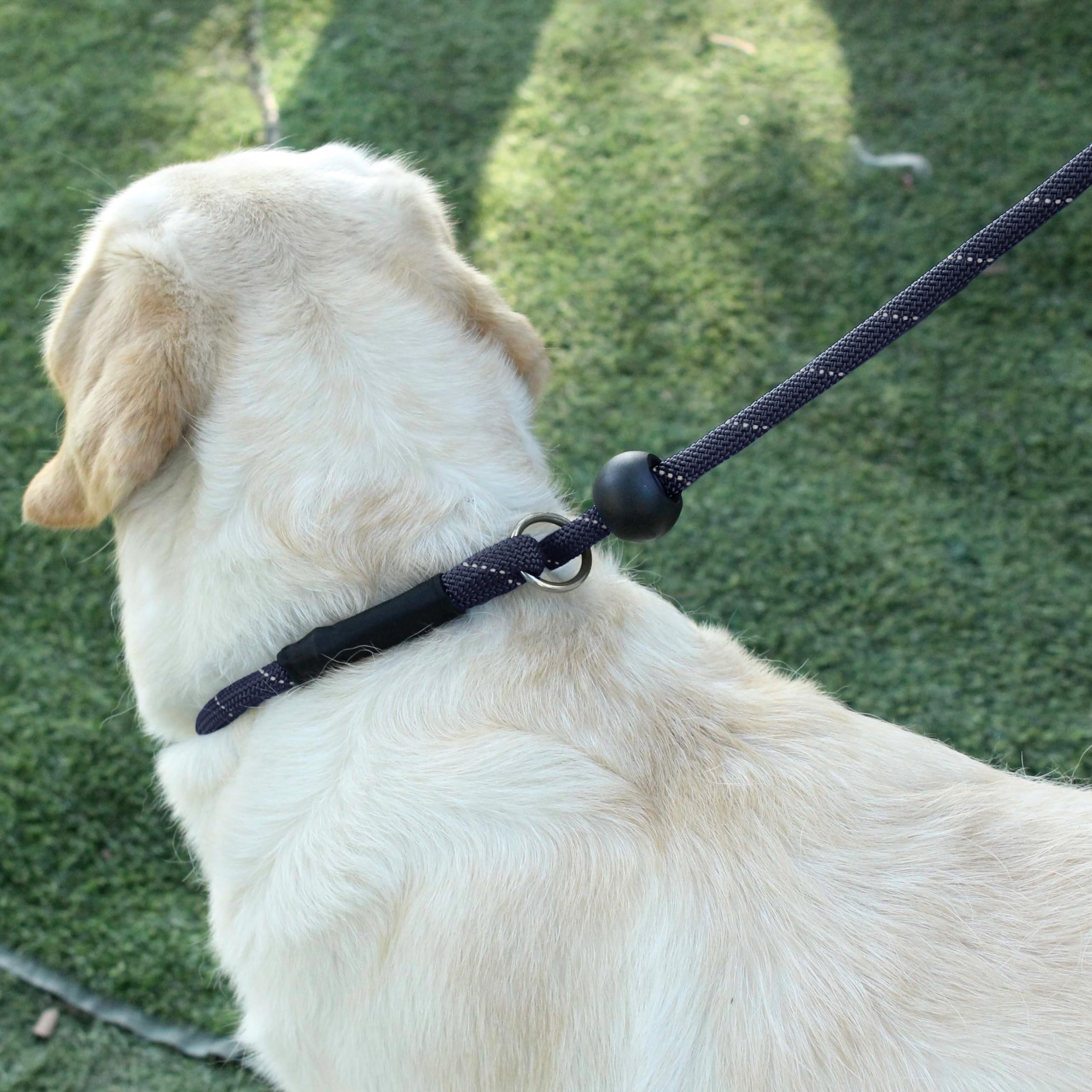 Hiado Slip Lead Dog Leash Reflective With Stopper Loop Rope Training No Pull For Small Medium Large Dogs 5Ft Black