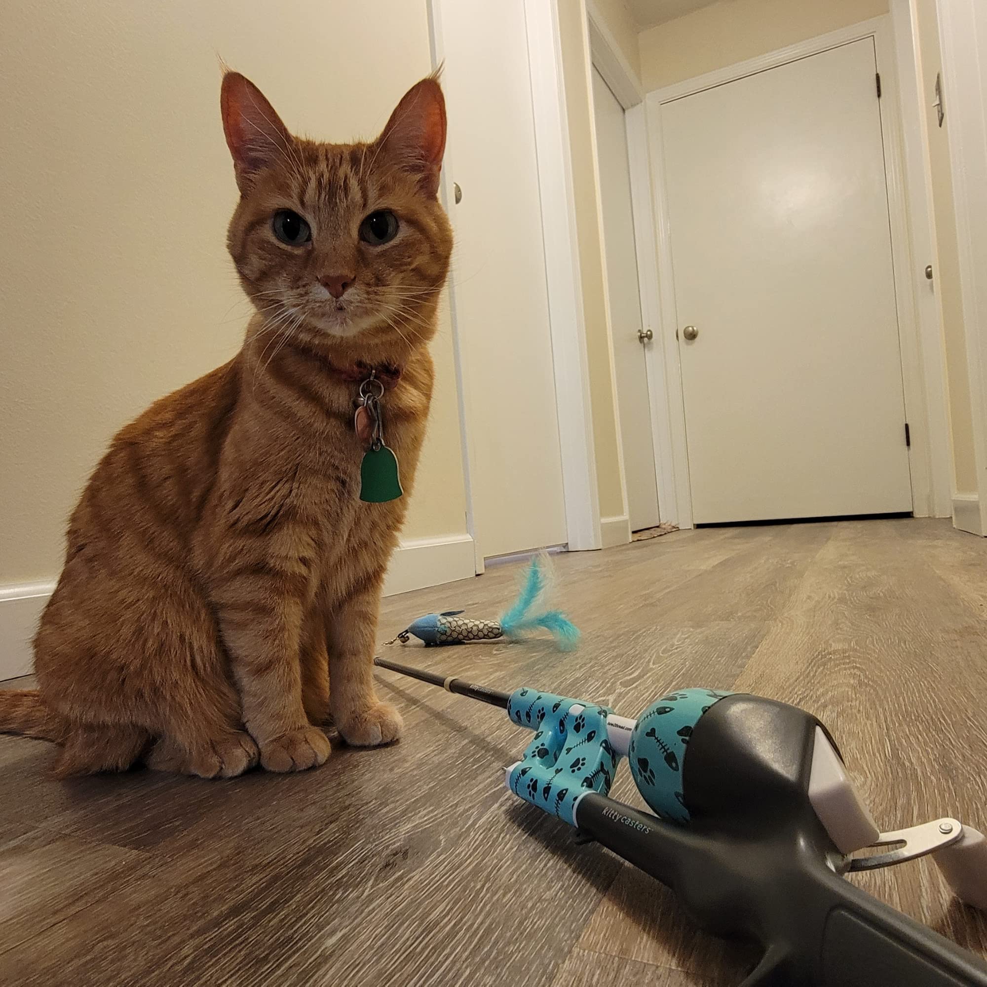 Cat Caster Fishing Pole Toy | Tangle Free & Easy To Store. Includes One Soft Toy And 2 Plastic Fish | The Ultimate Gift For Kitt