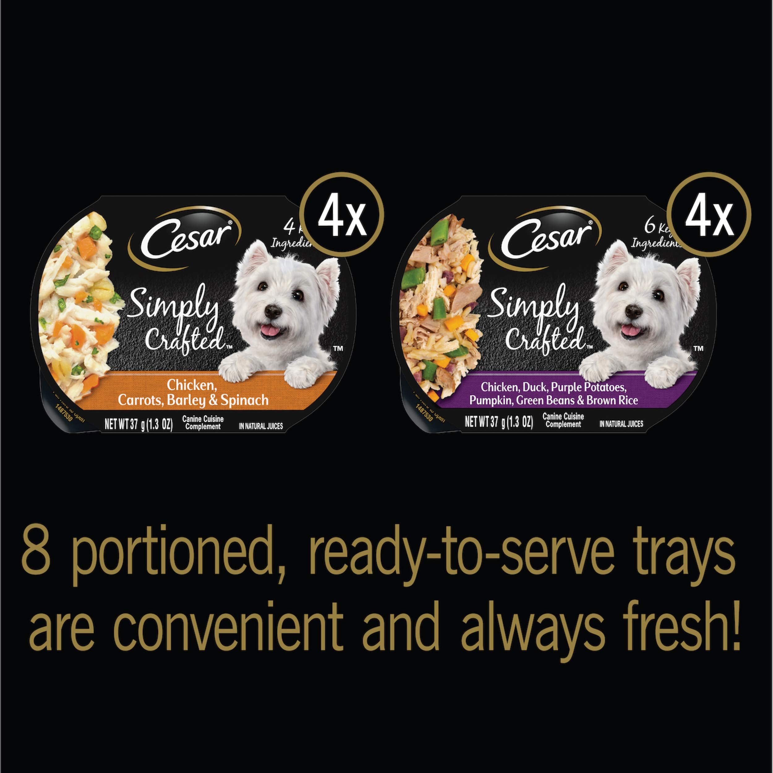 Cesar Simply Crafted Adult Wet Dog Food Meal Topper, Chicken, Duck, Purple Potatoes, Pumpkin, Green Beans & Brown Rice and Chick