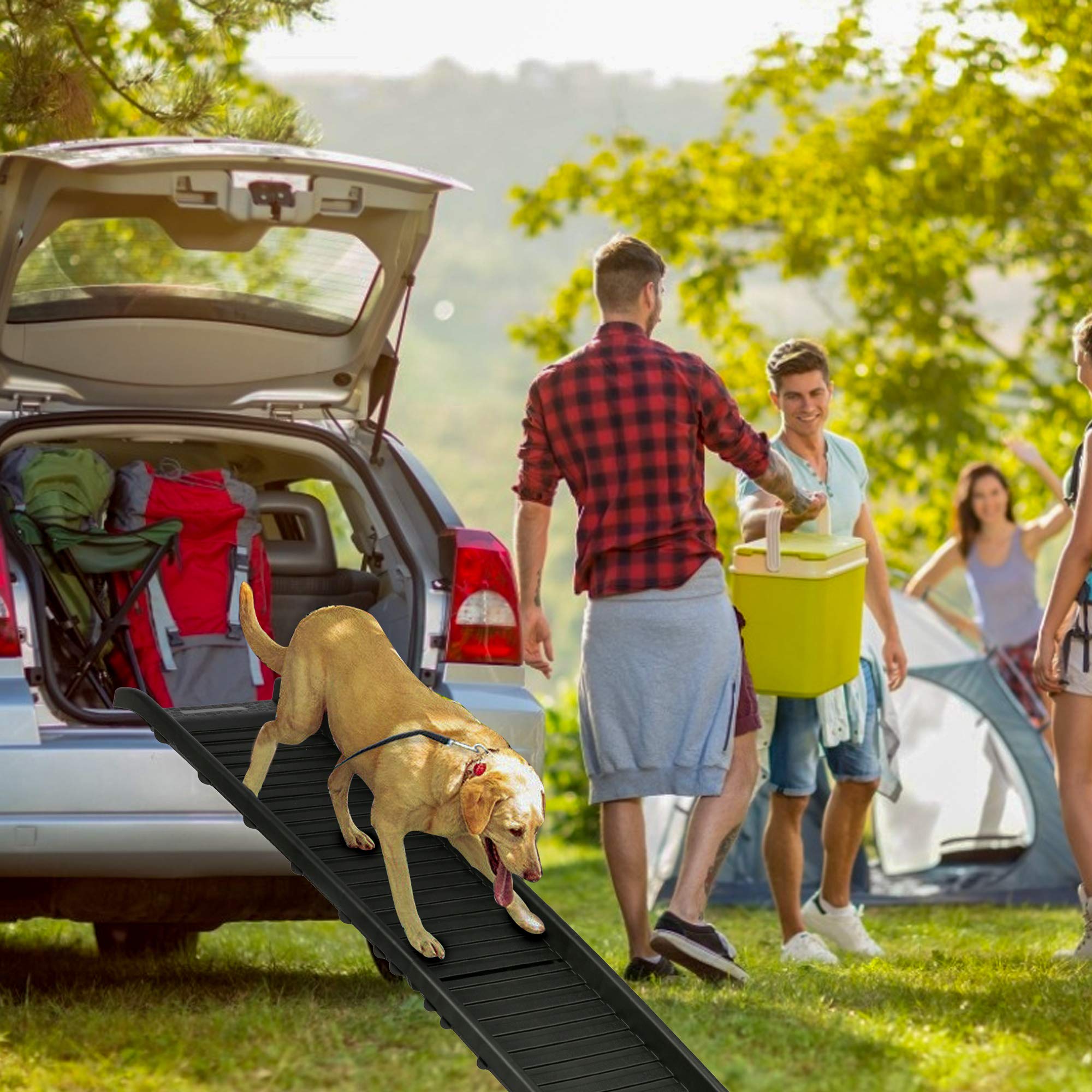 LONABR 60 Inches Dog Ramp Portable Folding Pet Ramp Non-Slip Heavy Duty Car Ramp for Cars, Trucks, SUV, Doorstep or Bed Supports