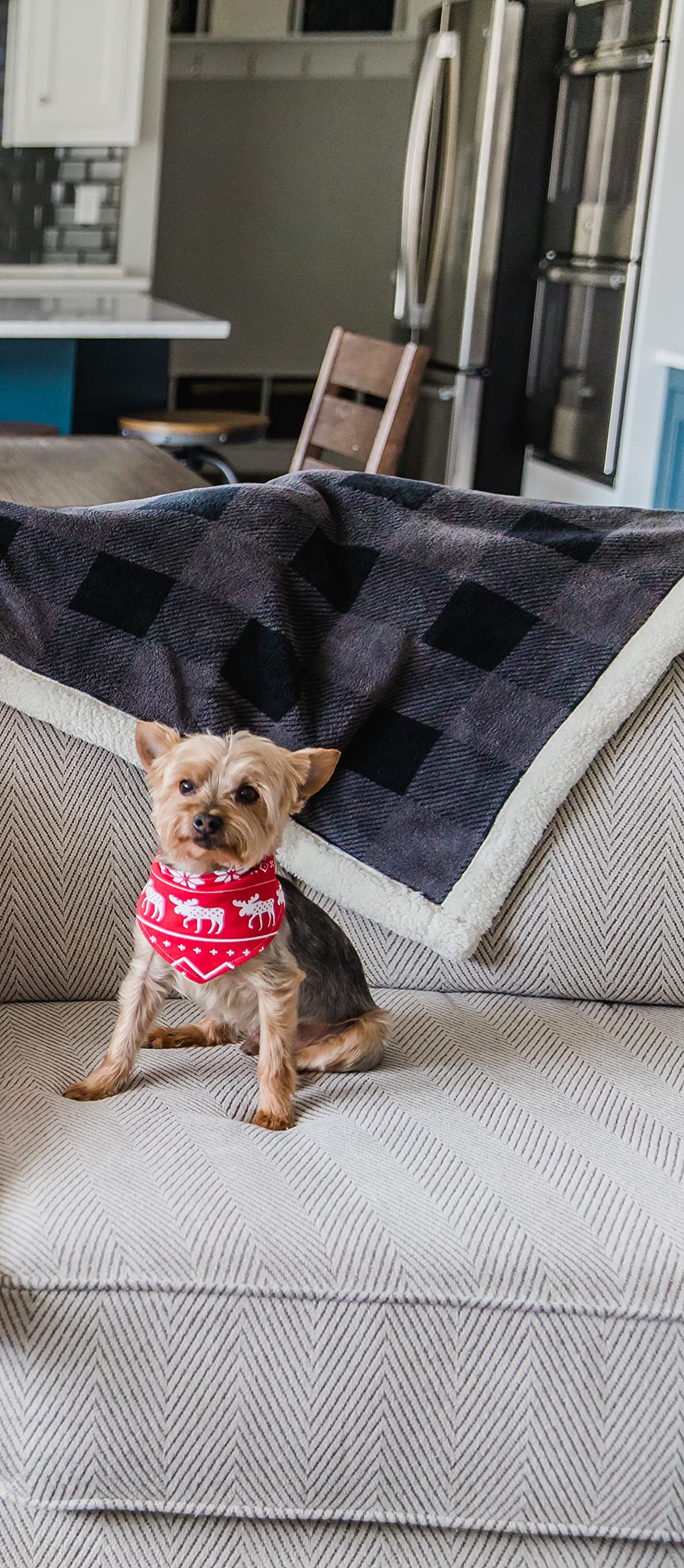 Lazy One Reversible Dog Bandana, Cute Accessories For Pets, Moose, Bear, Winter (X-Small/Small, Nordic Dog)