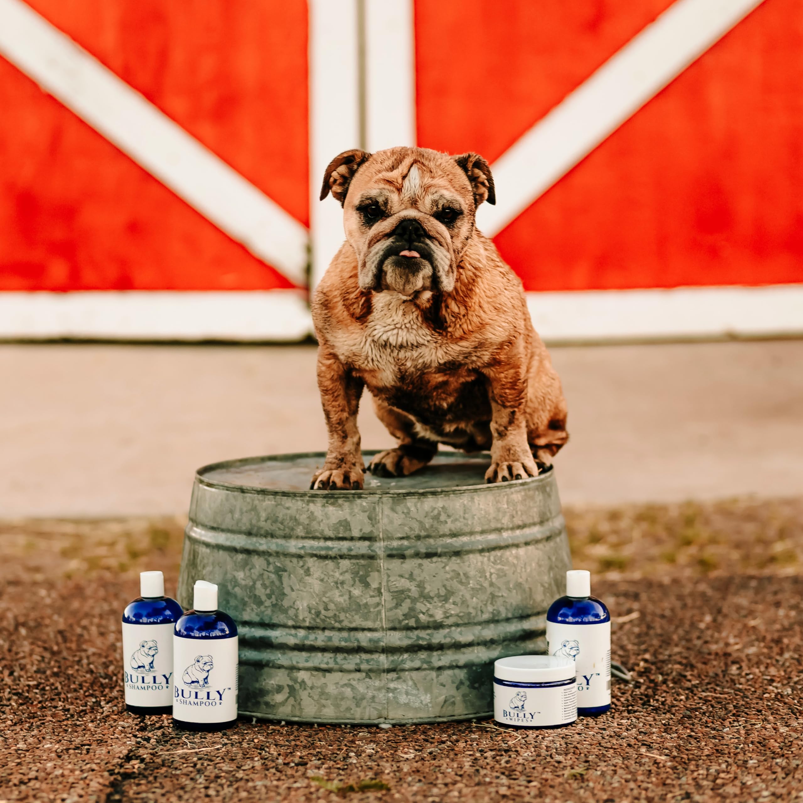 Bully Shampoo - Bulldog Dog Shampoo All Natural Organic Formula Refreshing Botanical Scent. Specifically For Bulldog Breeds And