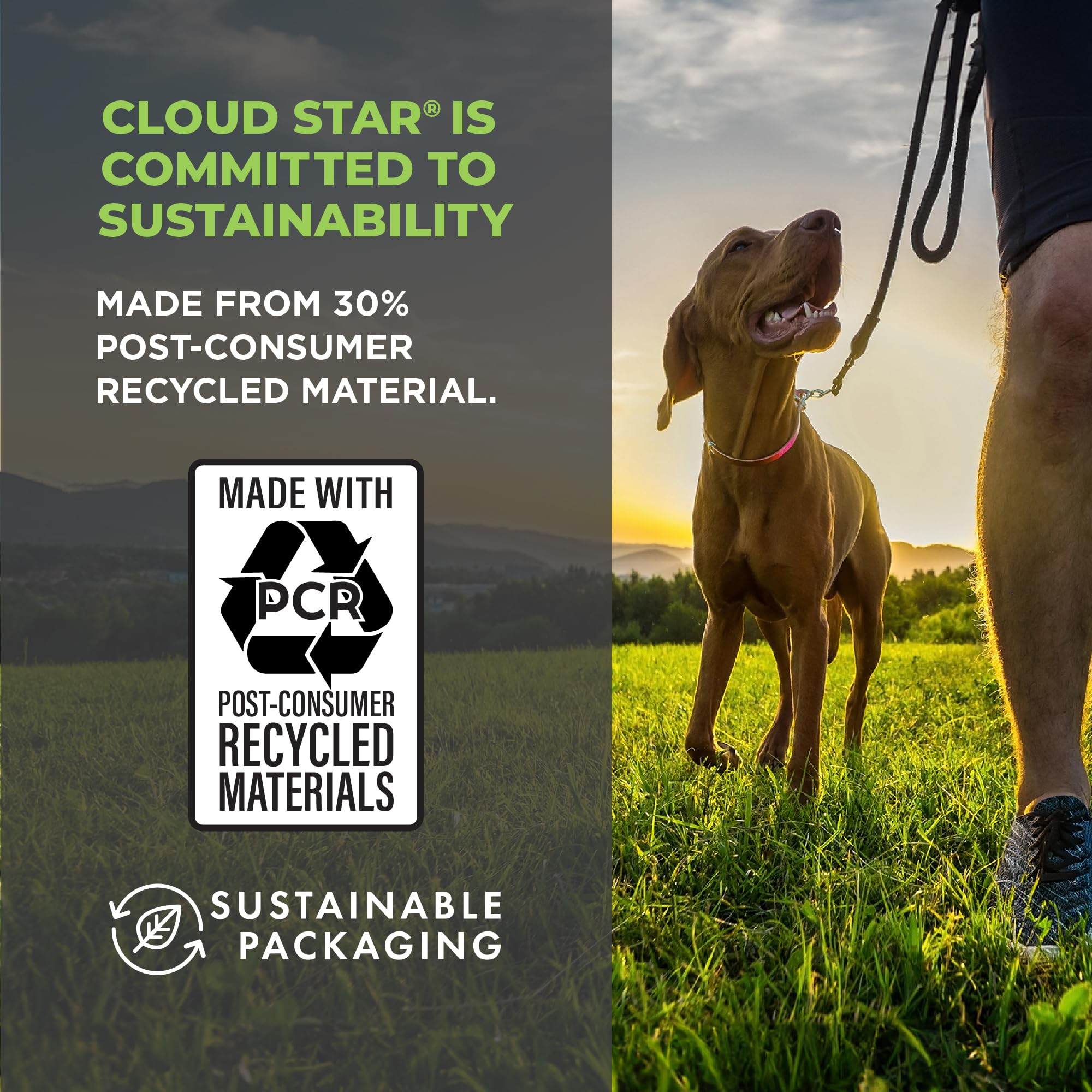 Cloud Star Wag More Bark Less Chicken & Sweet Potato Recipe Grain-Free Jerky Dog Treats 10 Ounce Bag, Model: 693804191113