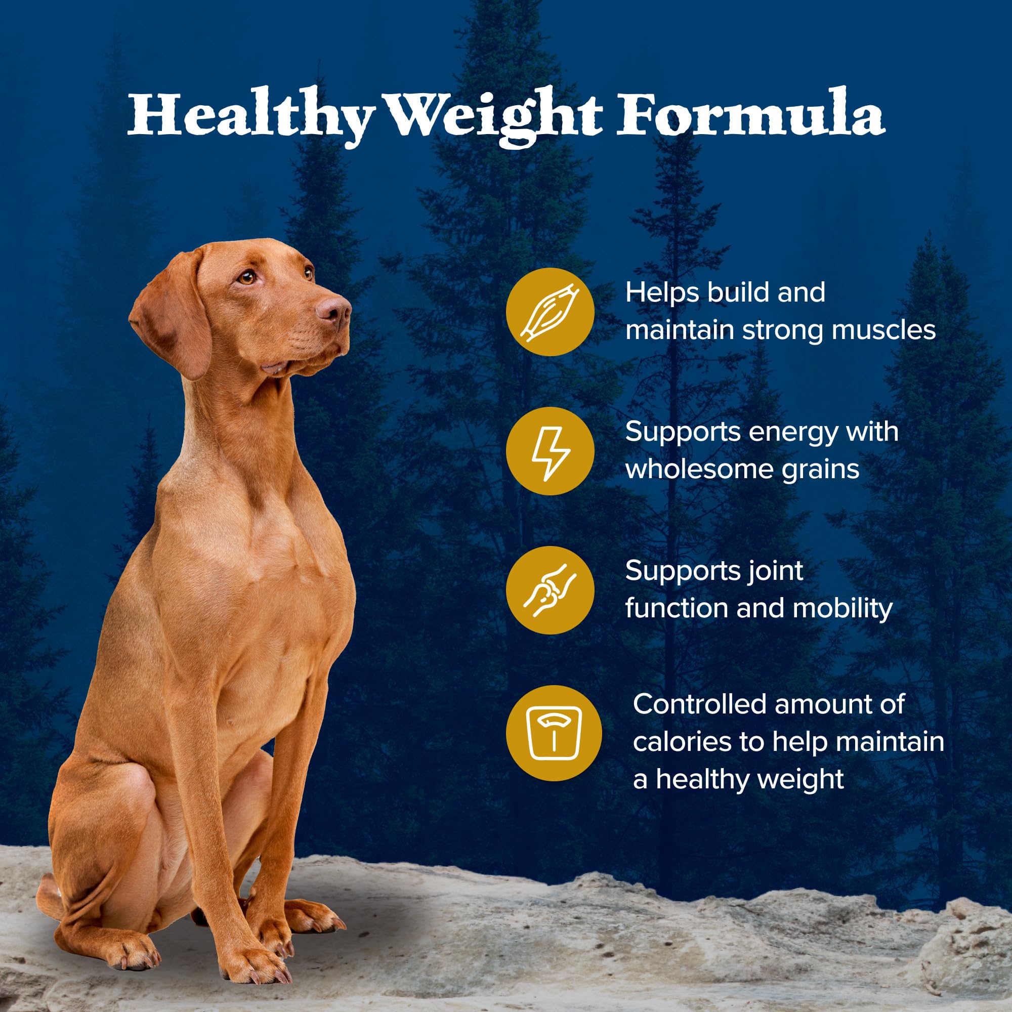 Blue Buffalo Wilderness Adult Weight Control Dry Dog Food With Real Chicken Plus Wholesome Grains, High-Protein Recipe, Made in