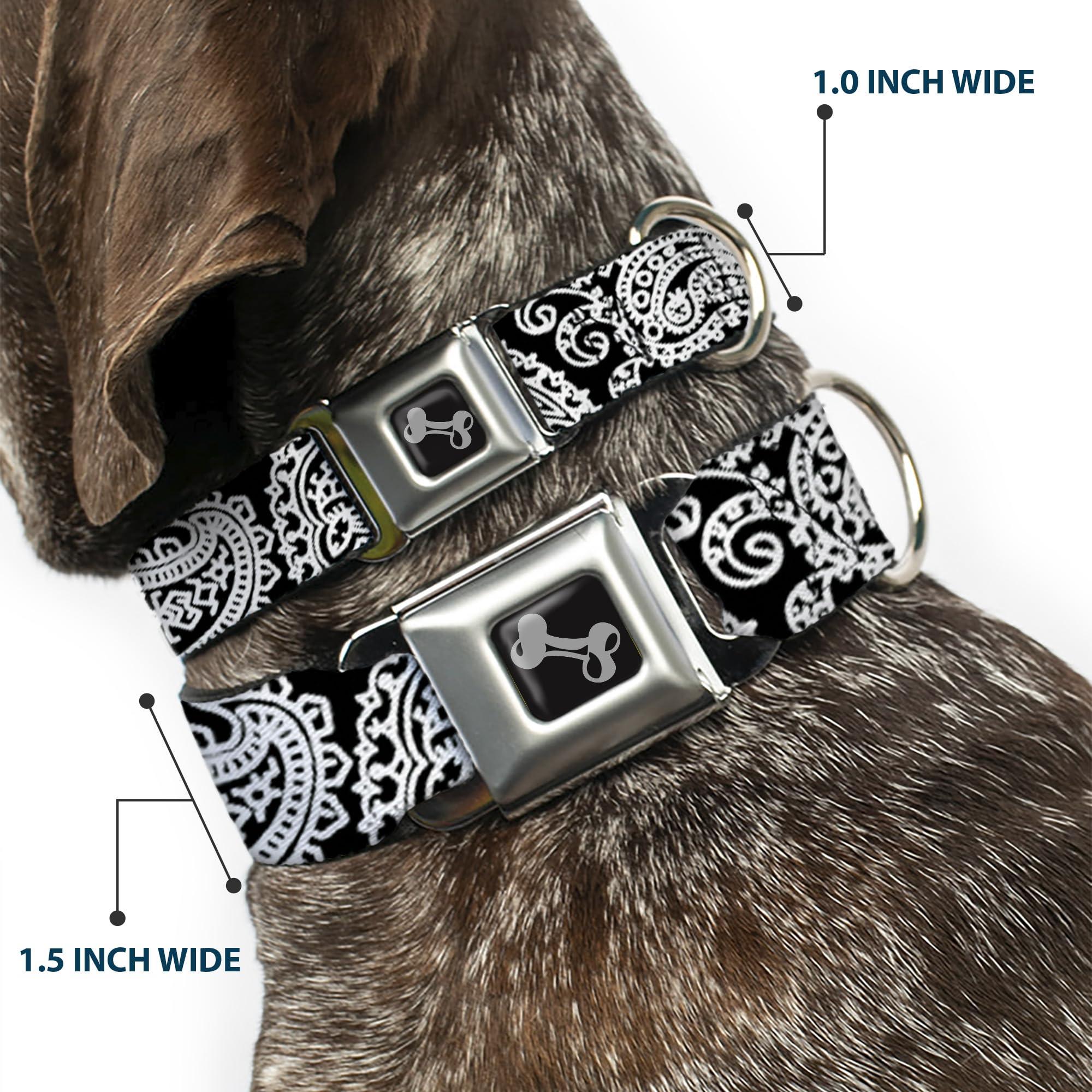 Buckle-Down Seatbelt Buckle Dog Collar - Bandana/Skulls Black/White - 1'' Wide - Fits 11-17'' Neck - Medium