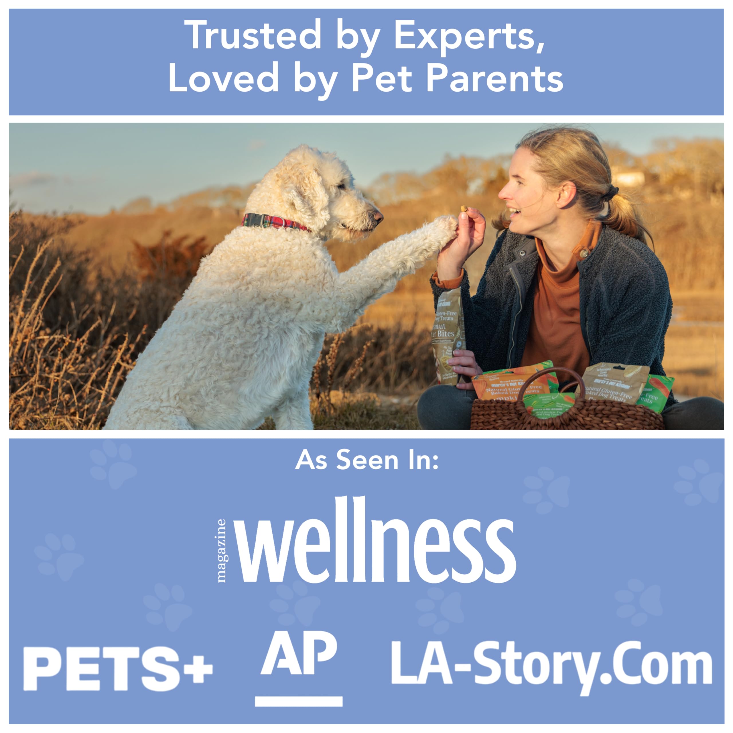 Marcys Pet Kitchen-Diabetic Dog Treats-Vet Recommend-No Preservatives - Crunchy, Superfoods, All Natural-Vegan Homemade,-Gluten