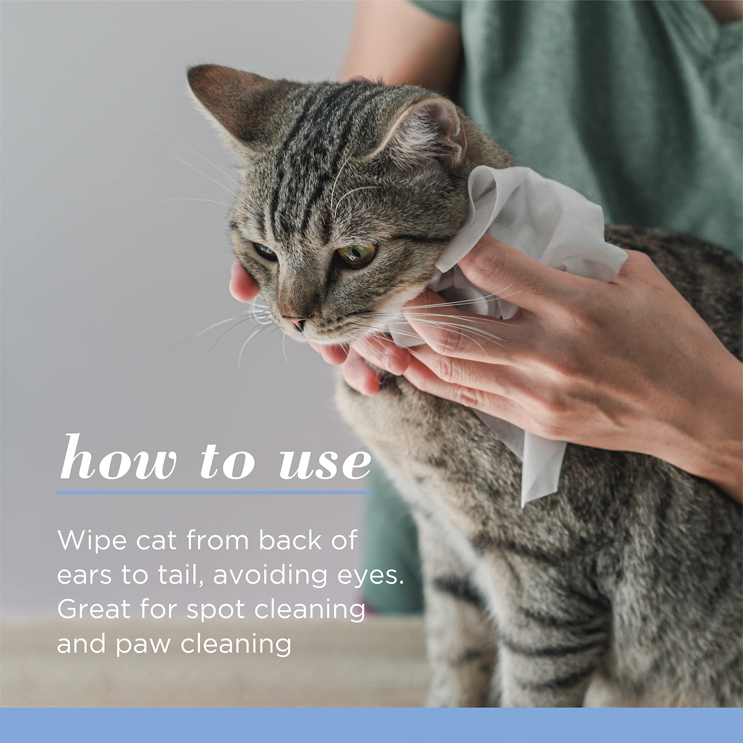 Burt'S Bees For Pets Kitten Wipes With Buttermilk, 98% Natural Origin Formulas, Cat Wipes, Cat Grooming Supplies, Cat Cleaning Wipes, Waterless Cat Grooming, 50Ct