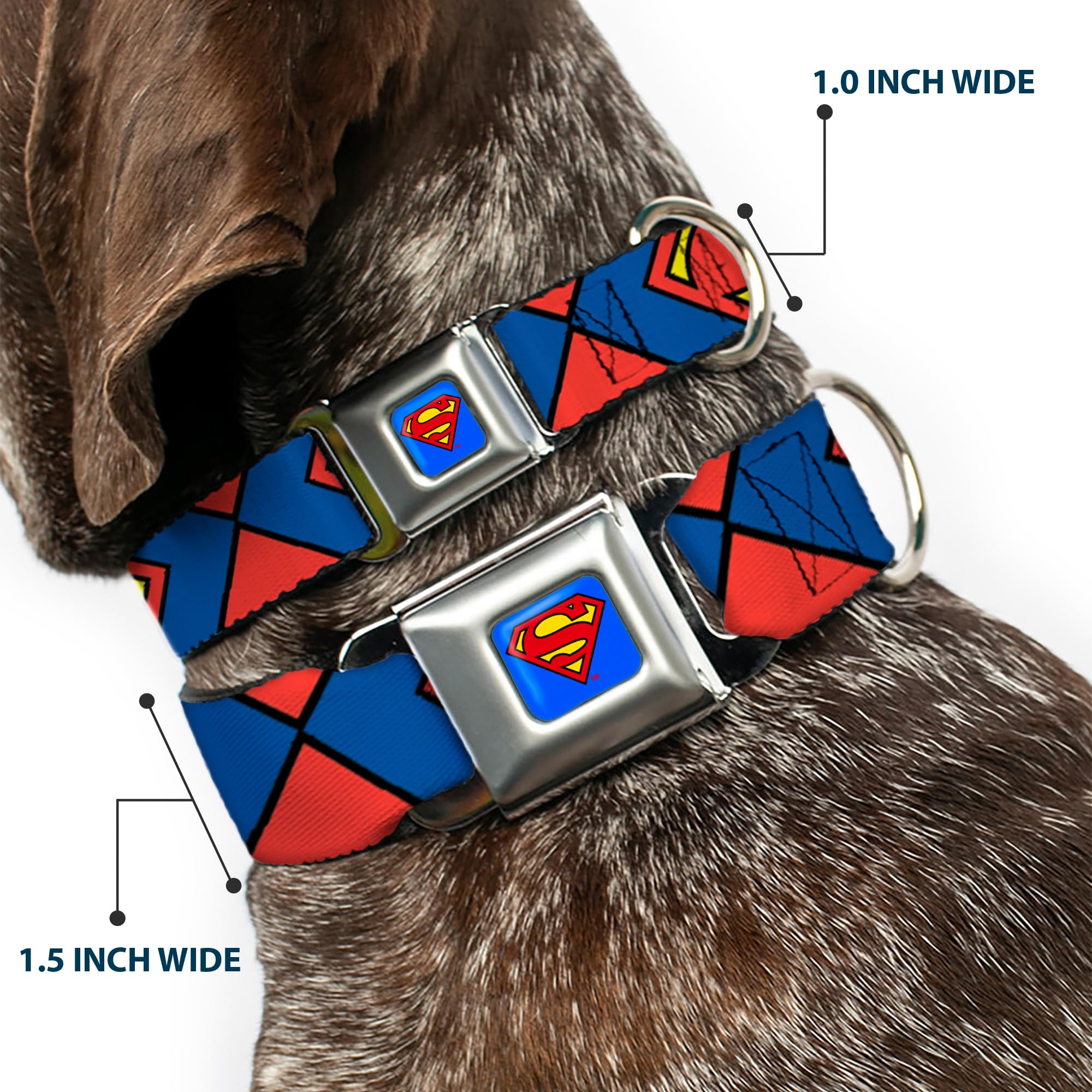 Buckle-Down Dog Collar Seatbelt Buckle Superman Shield Close Up Blue Red Yellow 15 To 26 Inches 1.0 Inch Wide