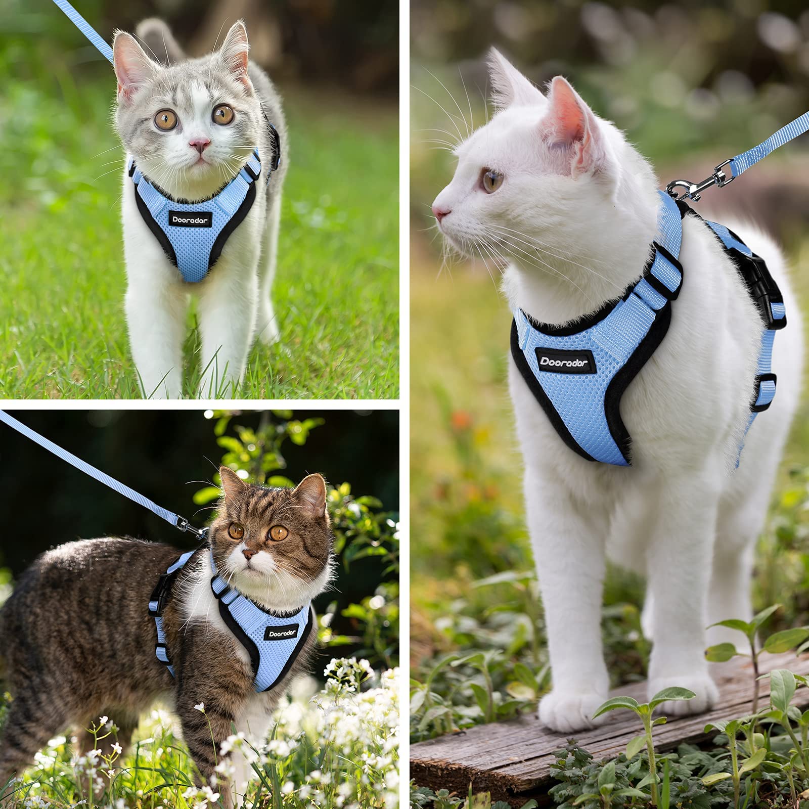 Dooradar Cat Harness And Leash Set, Escape Proof Safe Adjustable Kitten Vest Harnesses For Walking, Easy Control Soft Breathable Mesh Jacket With Reflective Strips For Cats,Light Blue, Xs