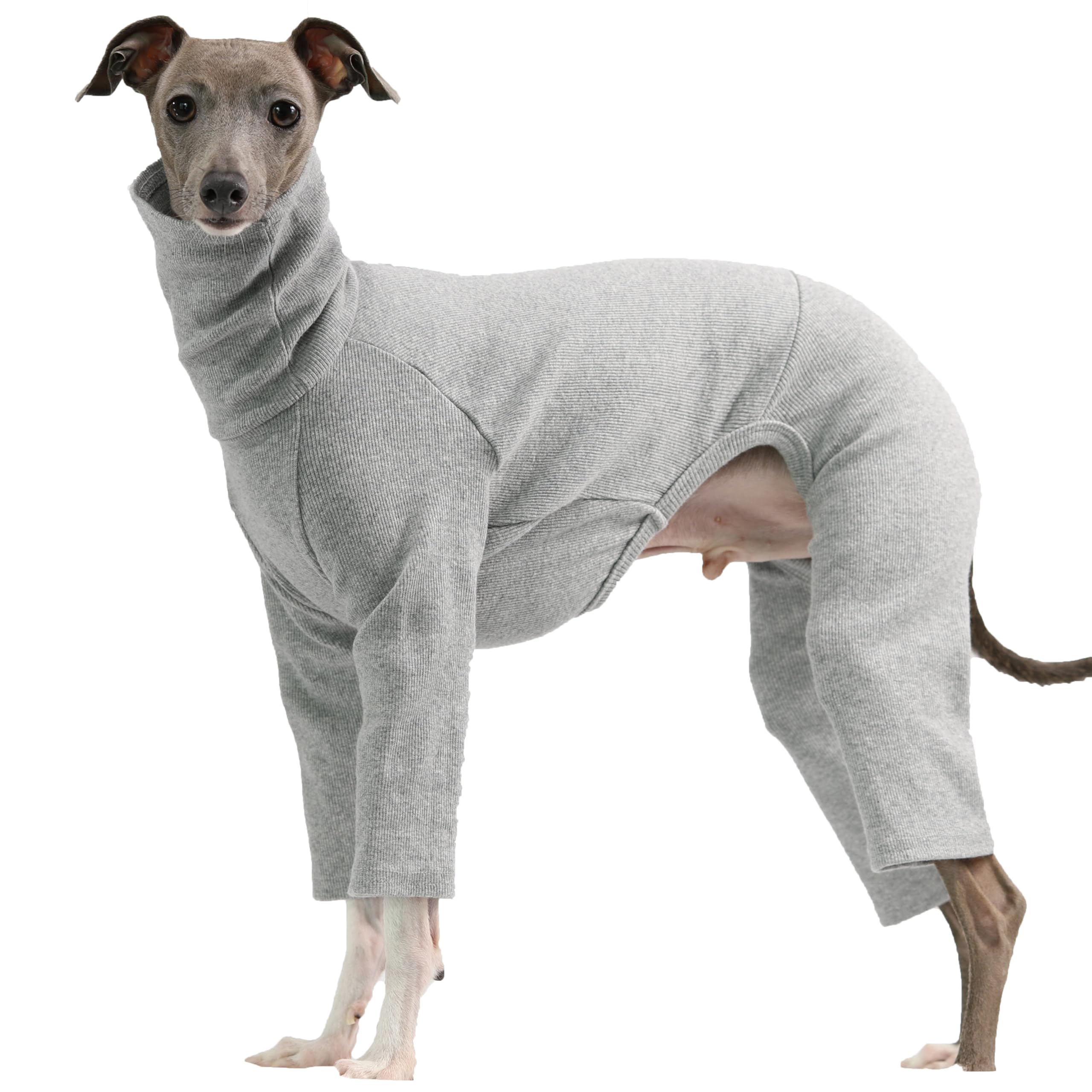 D Doggy Star Italian Greyhound Clothes Stretchable Onesie Whippet For Dog (2Xl,Ribbed Grey)