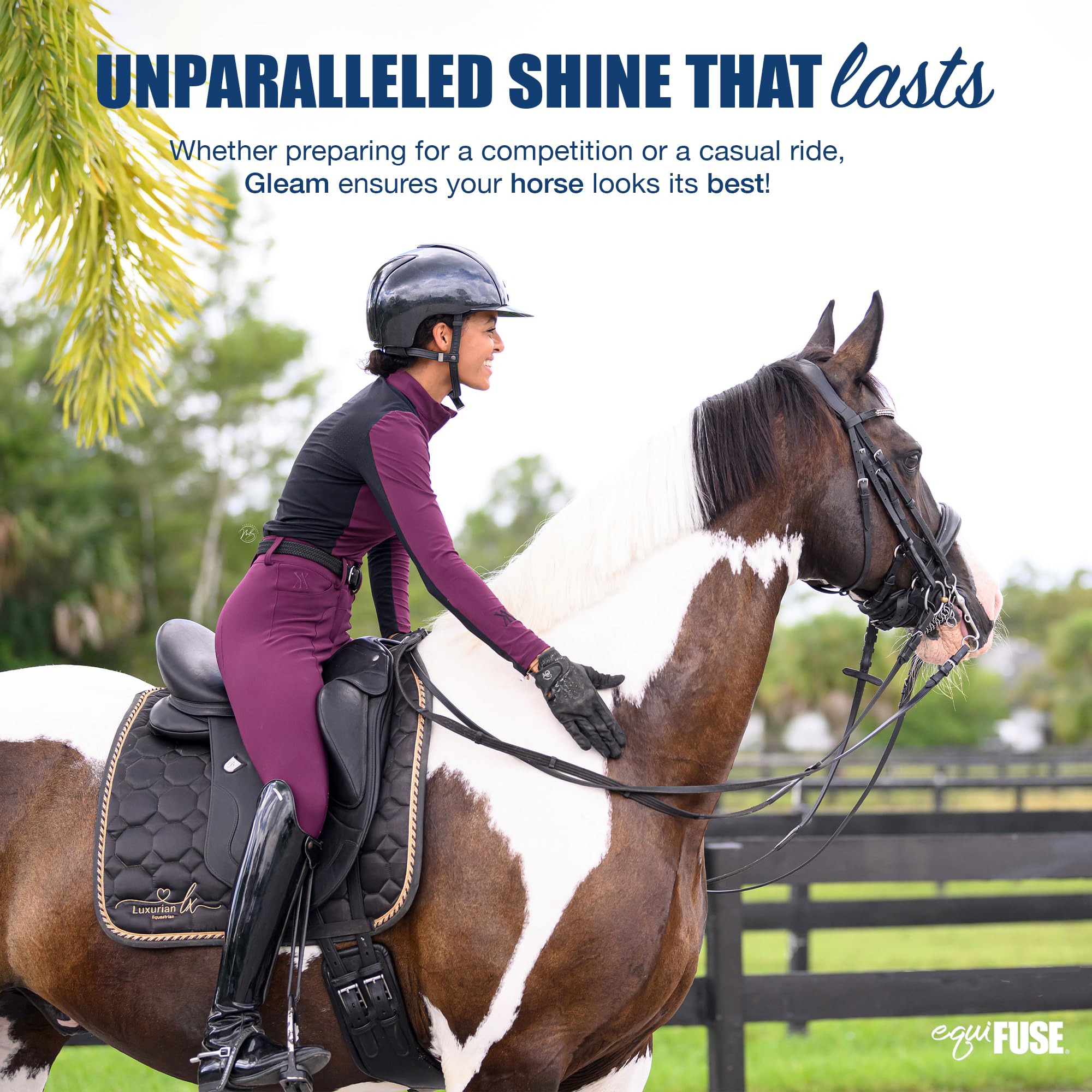 Equifuse Gleam Moisturizer + Shine Serum For Horses | Detangles Even The Unruliest Manes And Tails | Provides Long-Lasting Shine | 16Oz