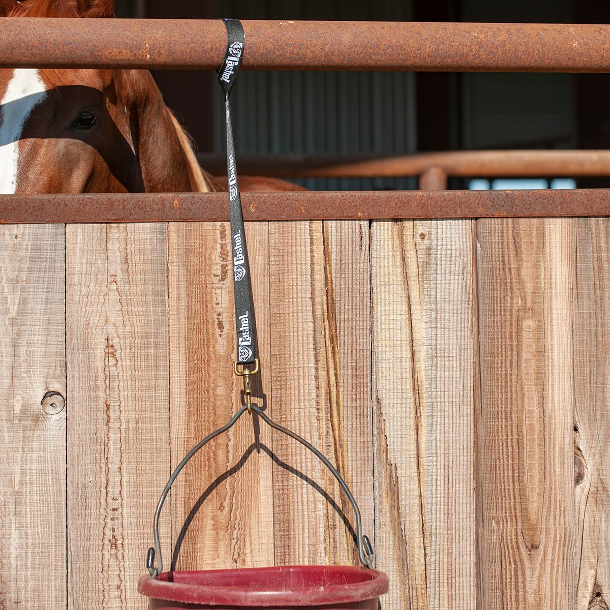 Cashel Loop D Loo Bucket Strap, 20-Inch