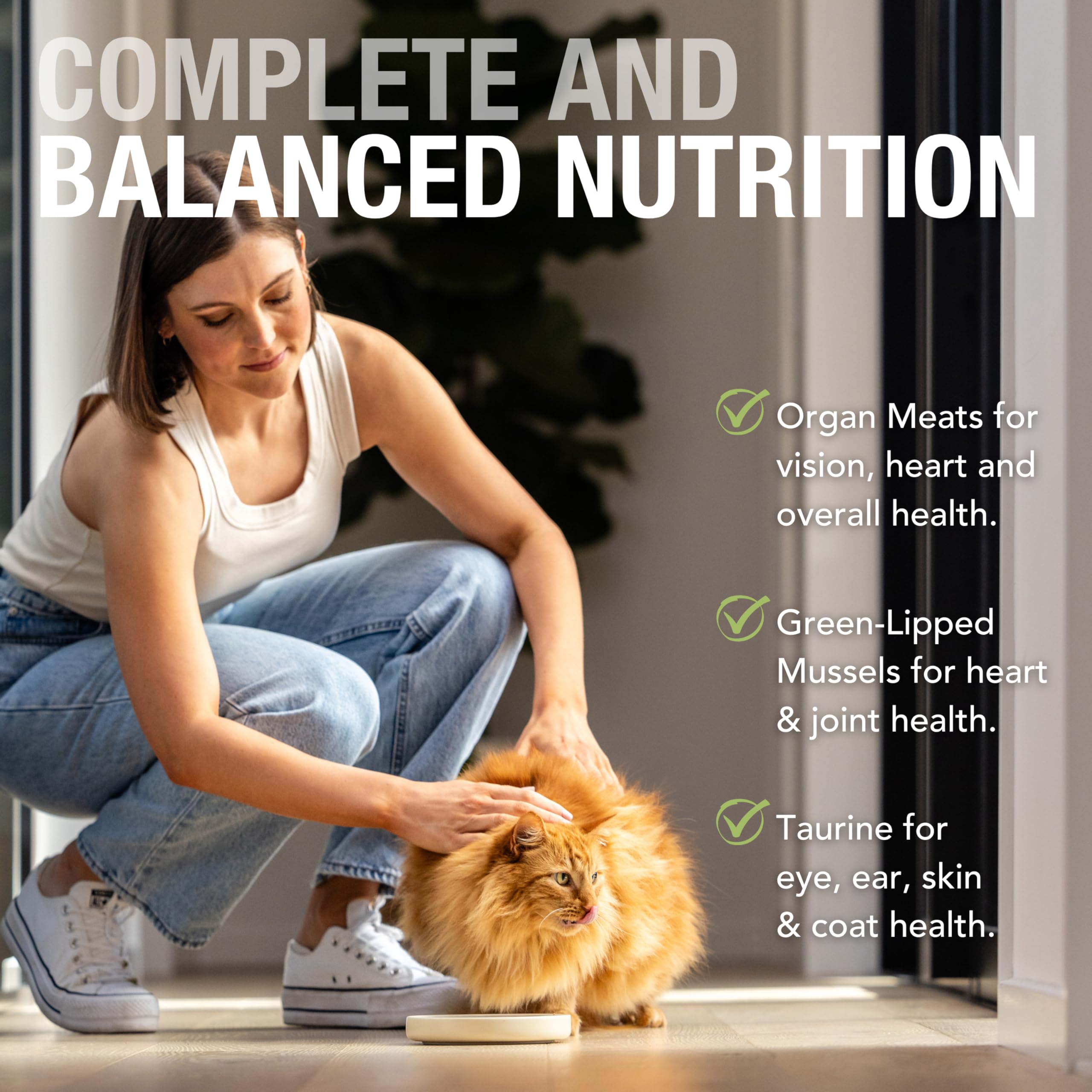 Feline Natural Pate Wet Food for Cats - Chicken & Lamb Feast, Grain-Free, High Moisture, 6 Ounce (Pack of 12), New Zealand Made