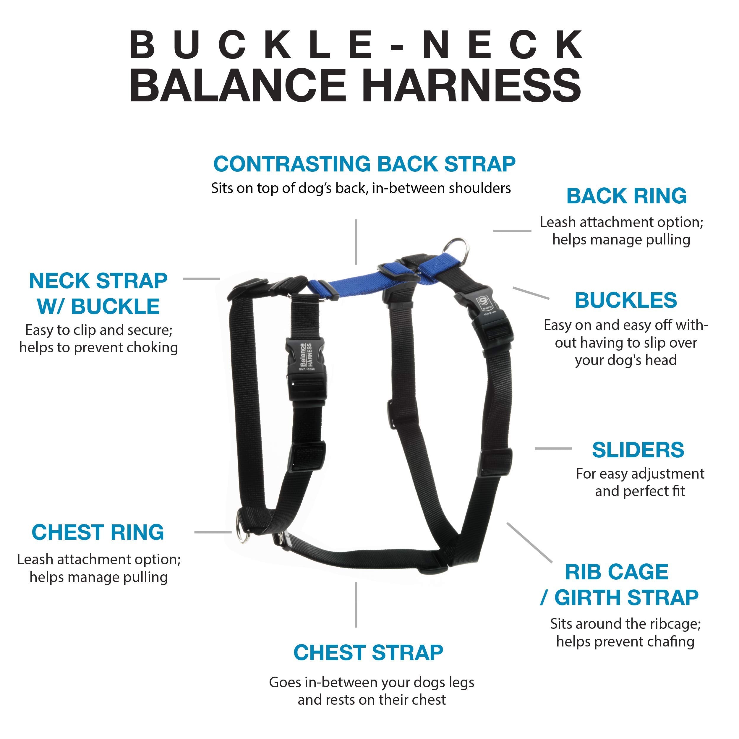 Blue-9 Pet Products No-Pull Balance Harness And Loose Leash Walking Set Dogs, Made In The Usa, Blue, Large