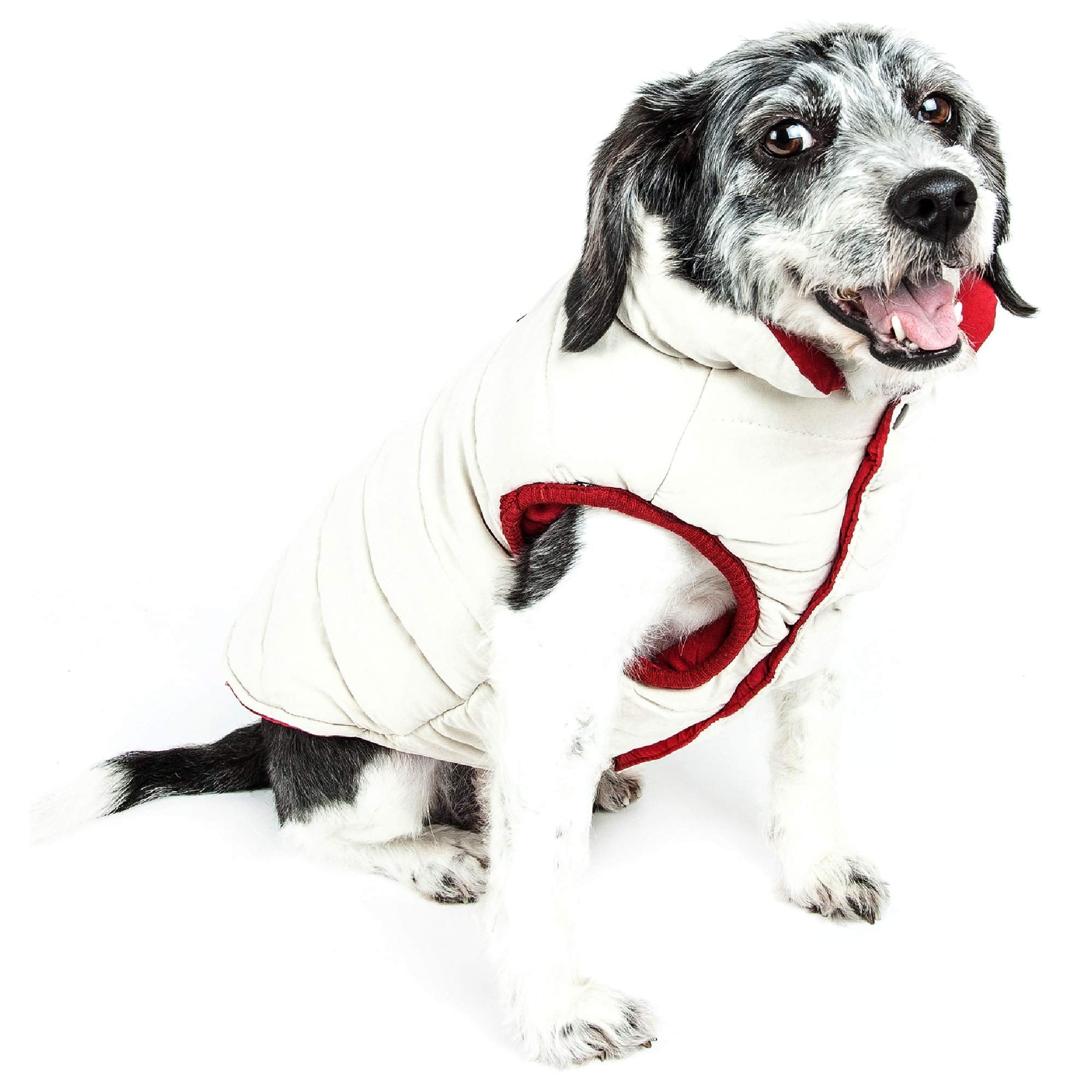 Touchdog Waggin Swag Reversible Insulated Pet Coat