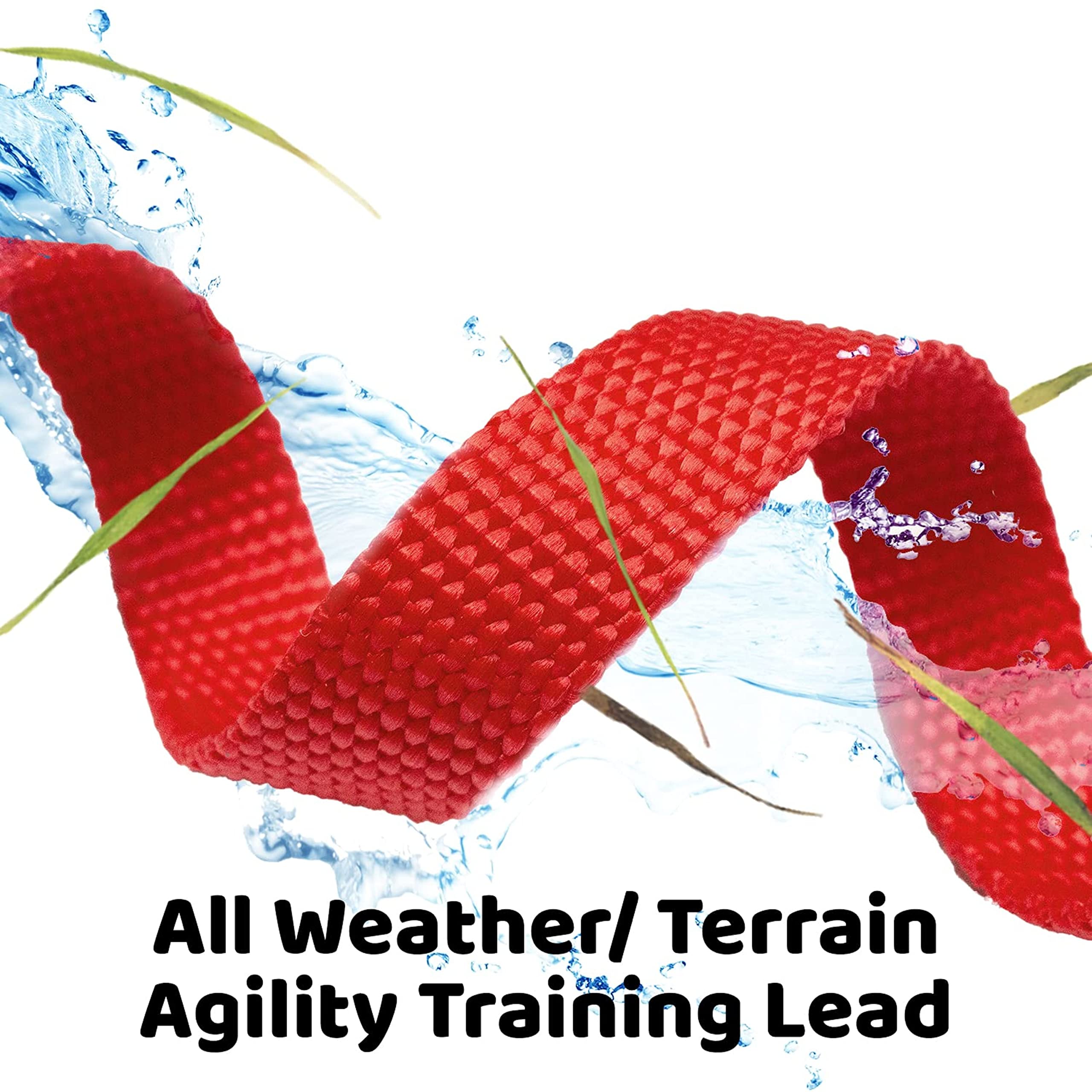 Long Dog Puppy Obedience Recall Training Agility Lead, Leash - RED, 30 Foot - by, Downtown Pet Supply