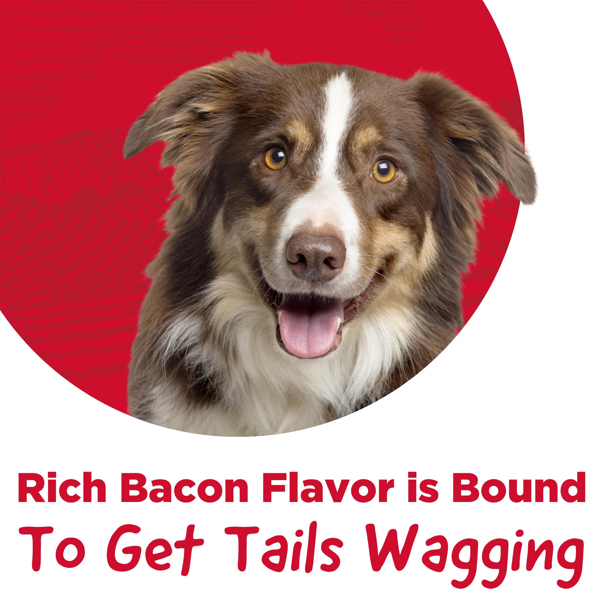 Country Kitchen Stuffed Shin Bone Bacon and Cheese Flavor Dog Treat, 100% Natural, Long Lasting, 1 Large Bone 5-6 inches