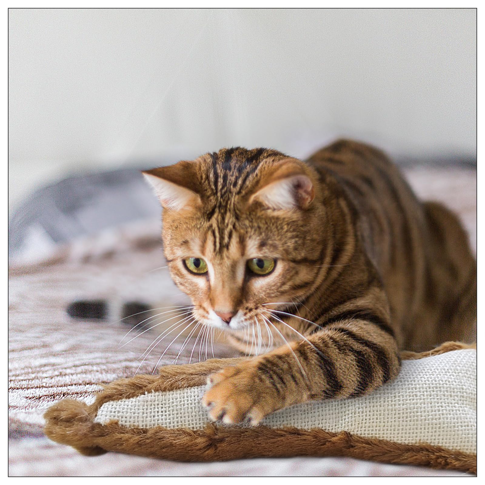 Andiker Cat Toys For Indoor Cats,10.24In Plush Catnip Toy With Crinkle Paper Inside,Fluffy Interactive Cat Toy With Feather And