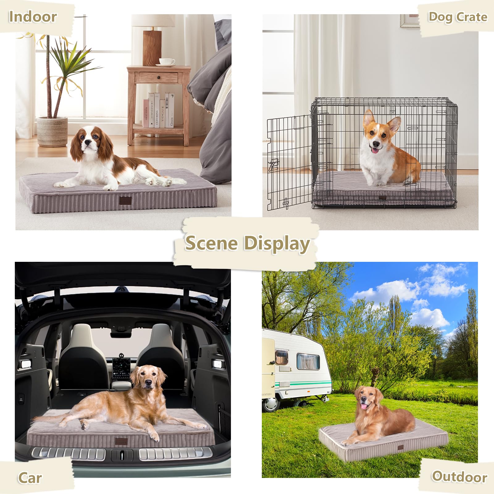 Orthopedic Dog Beds For Small Dogs - Soft Plush Washable With Egg Crate Foam, Waterproof & Removable Cover, Anti-Slip Bottom, Co