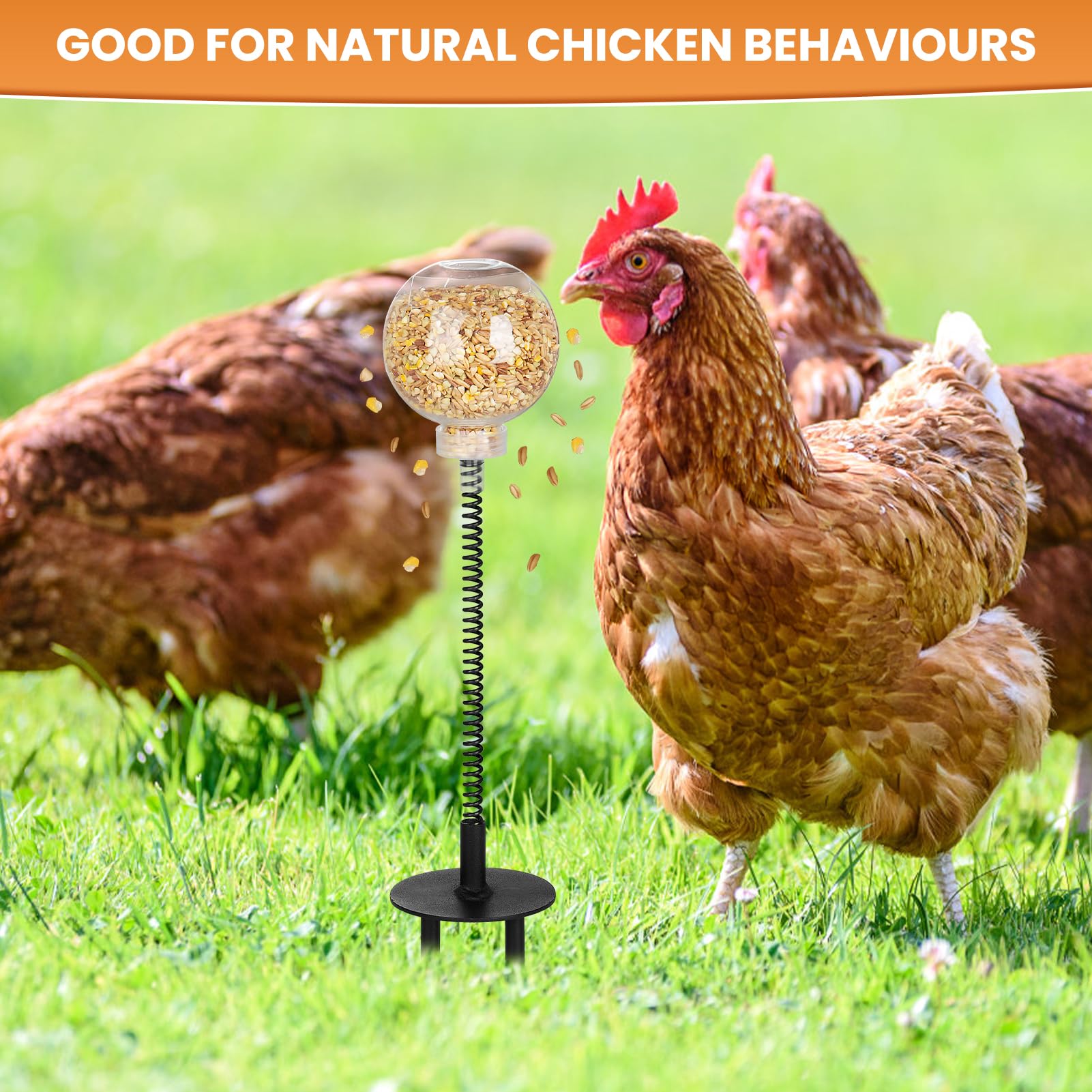 Peck Toy, Interactive Slow Feed Release Toy for Your Flock, Chicken Slow Feeder Boredom Busting Fun Maintain Your Hens Entertain