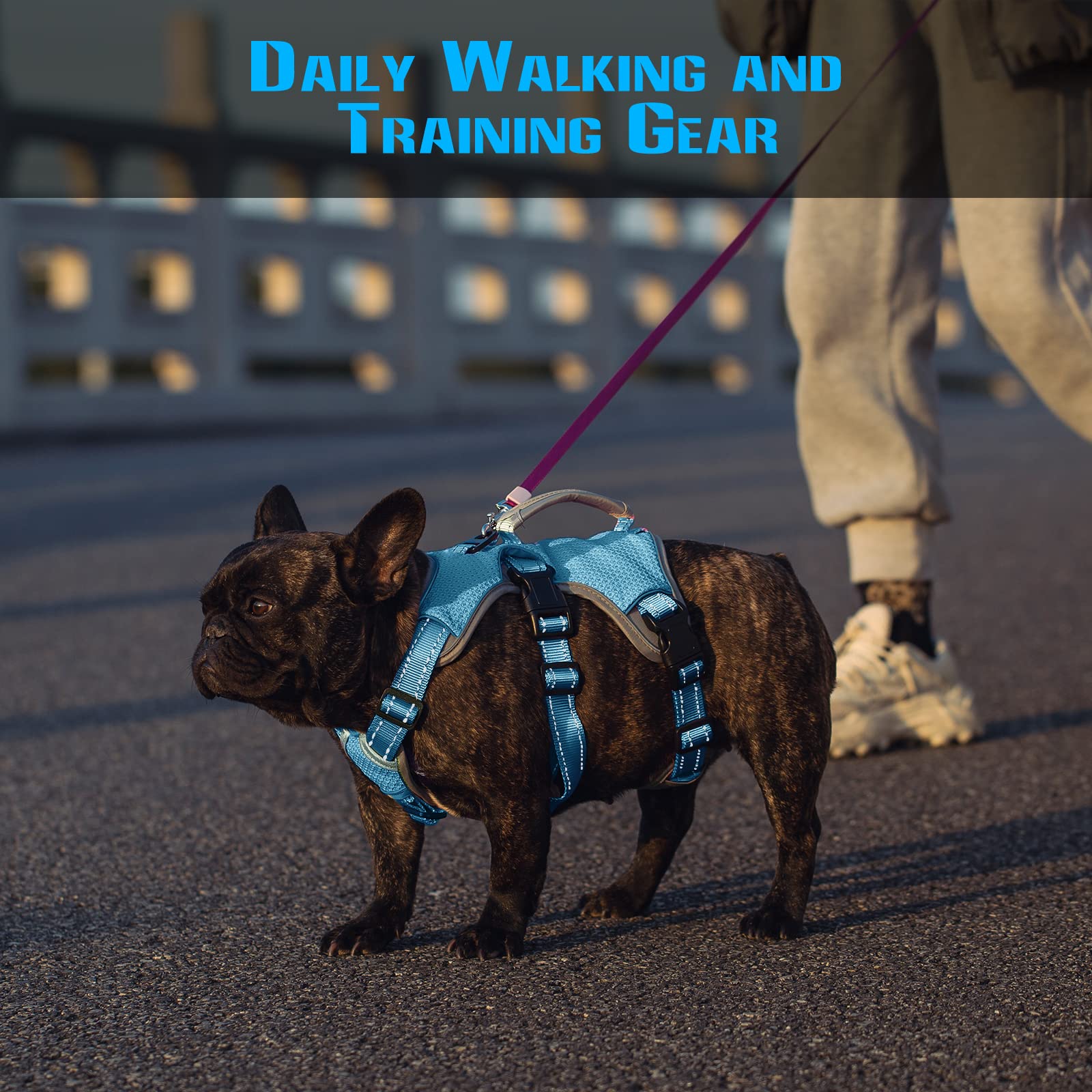 Escape Proof Dog Harness, Escape Artist Harness, Fully Reflective Harness With Padded Handle, Breathable,Durable, Adjustable Vest For Small Dogs Walking, Training, And Running Gear Blue (Small)