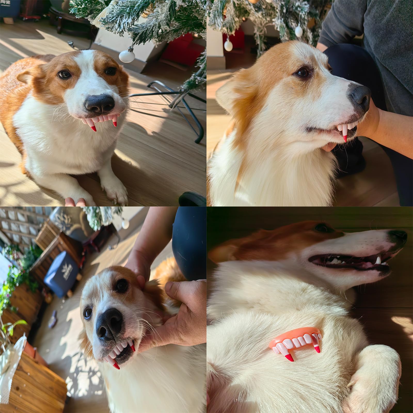 Vampire & Rabbit Teeth For Medium & Large Dogs - 2 Pcs Funny Dog Teeth Braces For Halloween & Christmas Festival Costume