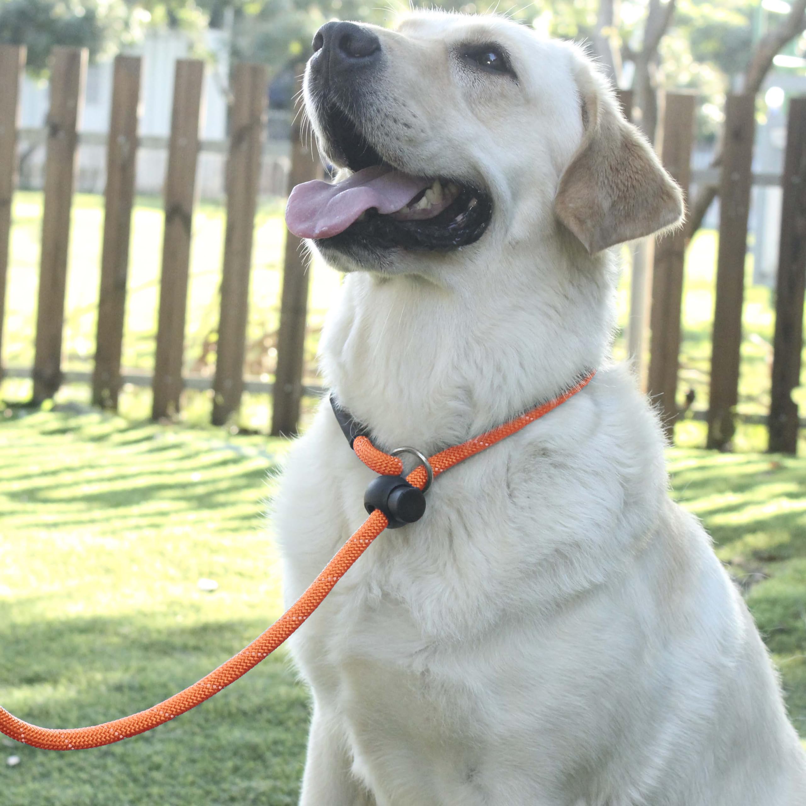 Hiado Slip Lead Dog Leash Reflective With Stopper Loop Rope Training No Pull For Small Medium Large Dogs 7Ft Orange