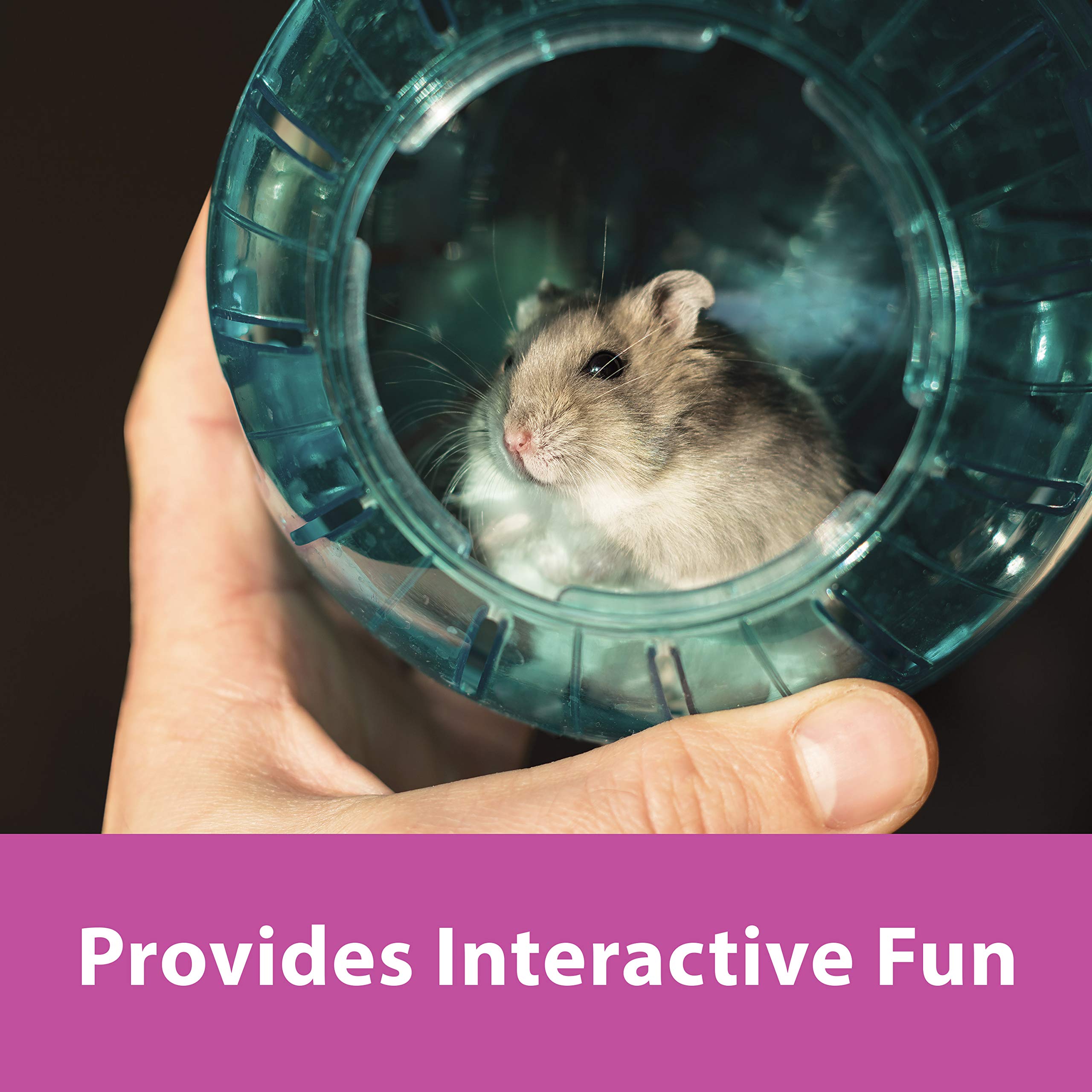 Kaytee 7' Moon Glow Run-About Exercise Ball For Pet Hamsters & Gerbils