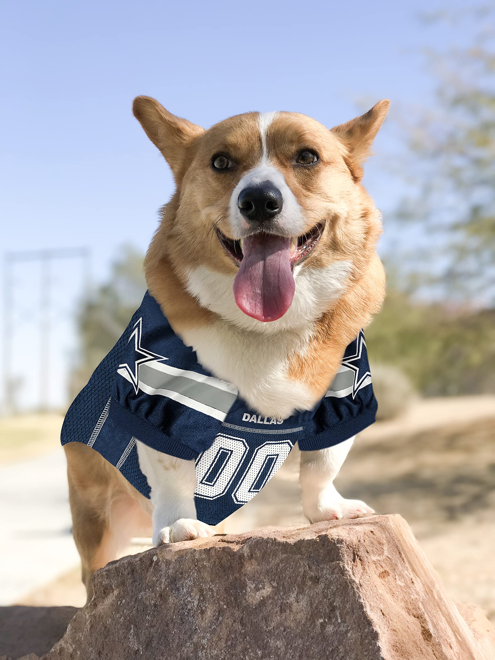 Nfl Dallas Cowboys Dog Jersey, Size: X-Small. Best Football Jersey Costume For Dogs & Cats. Licensed Jersey Shirt