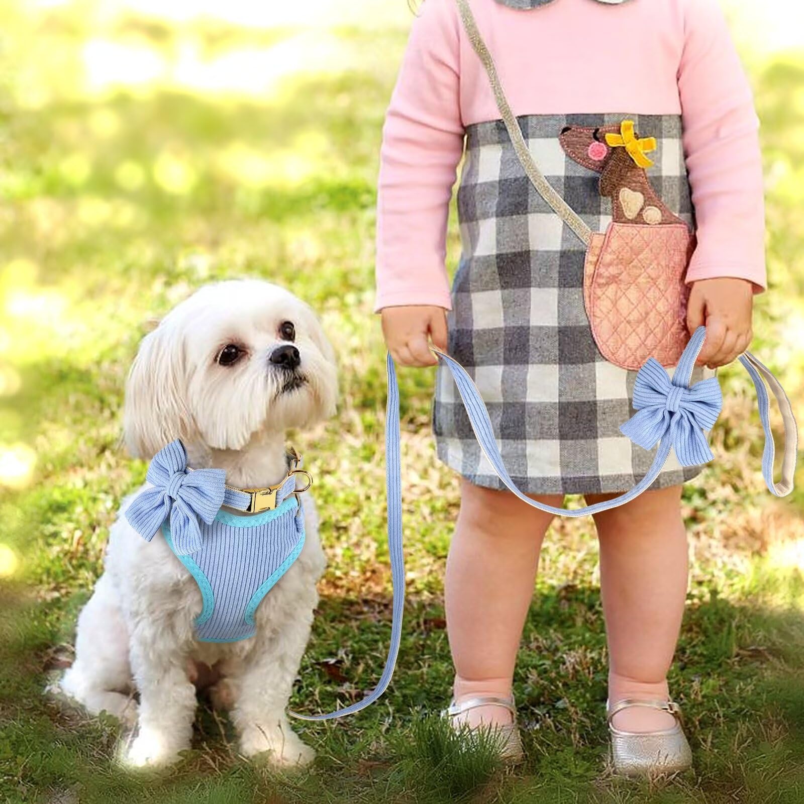 Didog Cute Small Dog Collar Harness & Leash Set, Adjustable Dog Collars And Leashes With Bowtie, Breathable Soft Mesh Padded Dog